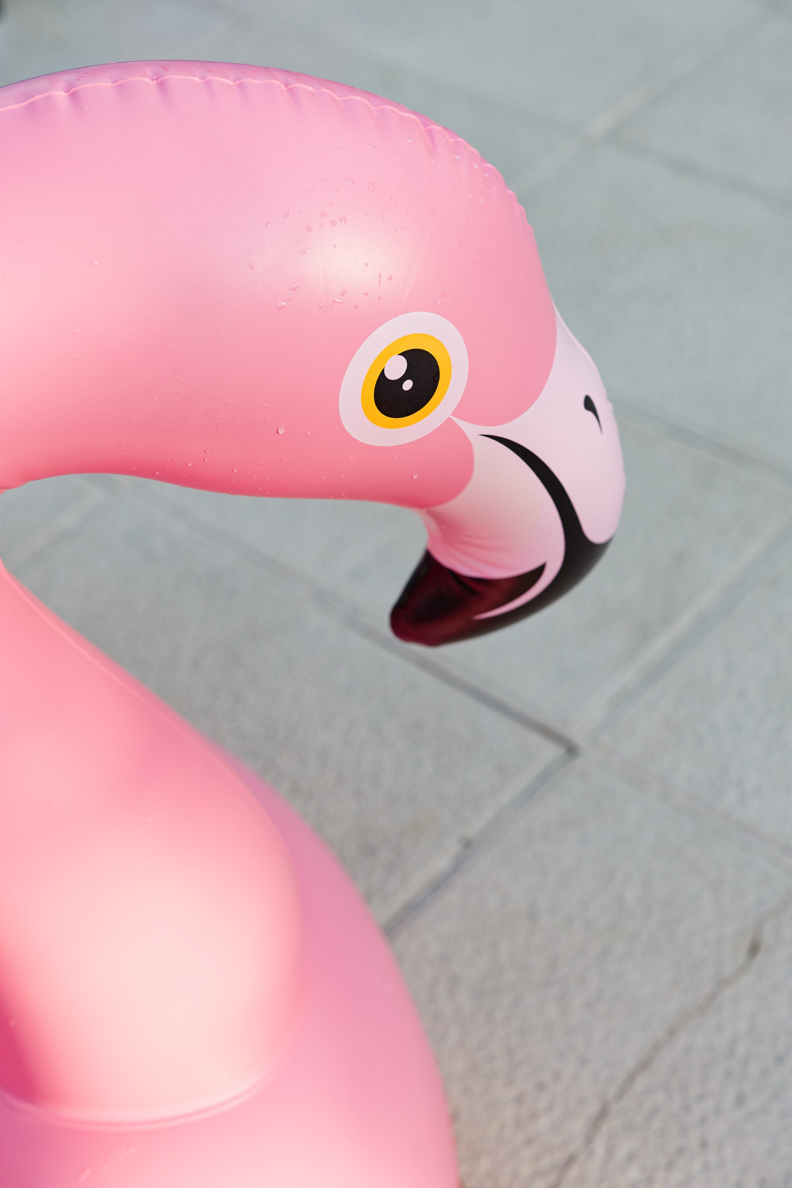 Haldi Ceremony & Mehndi Night & pre-wedding dinner, Barcelona