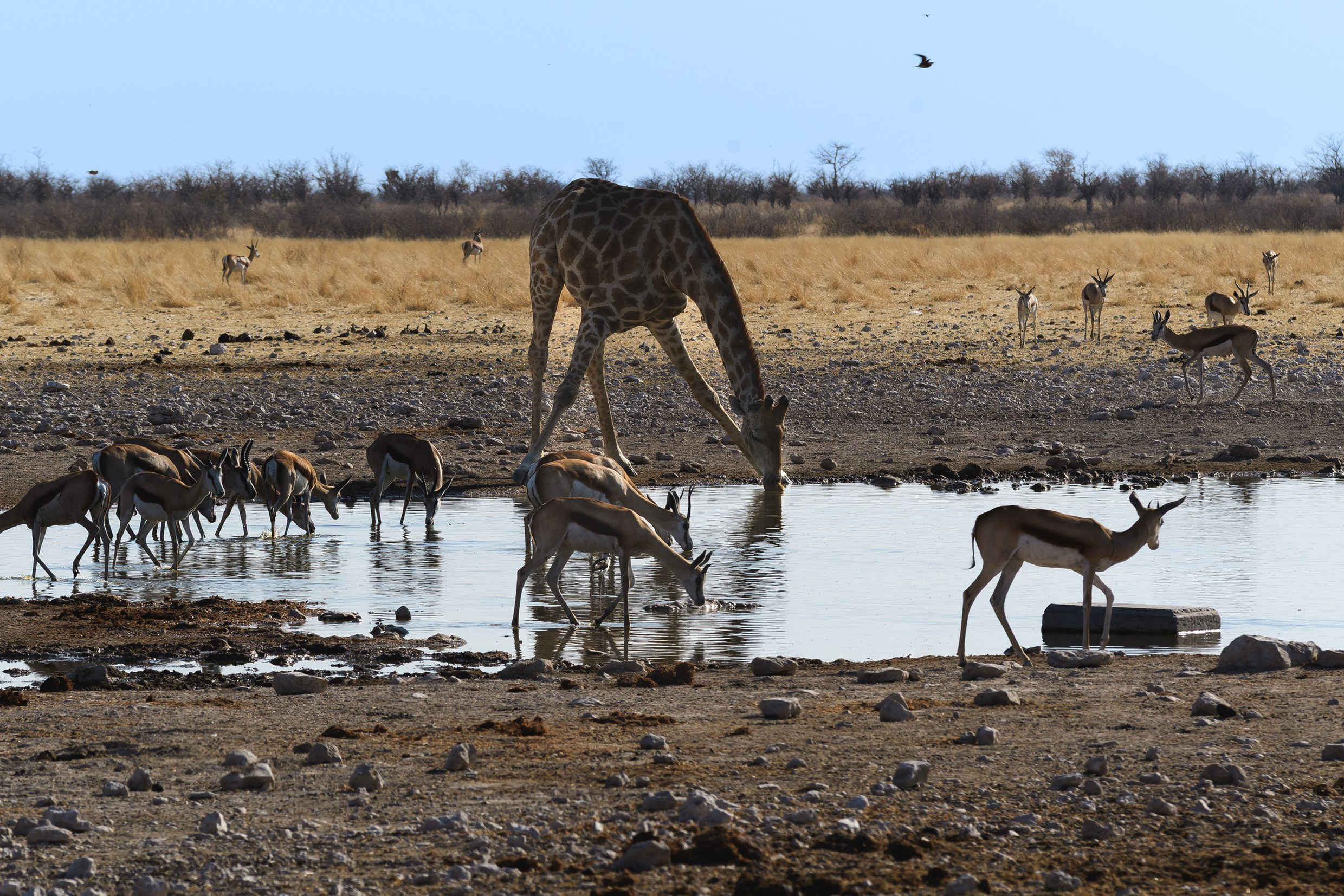 Travel. Klausenburg Photography