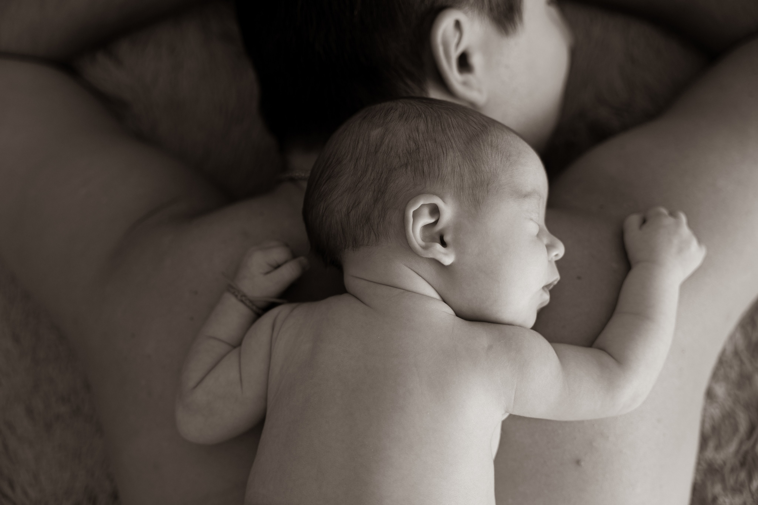 Porodična fotografisanja. Porodični fotograf