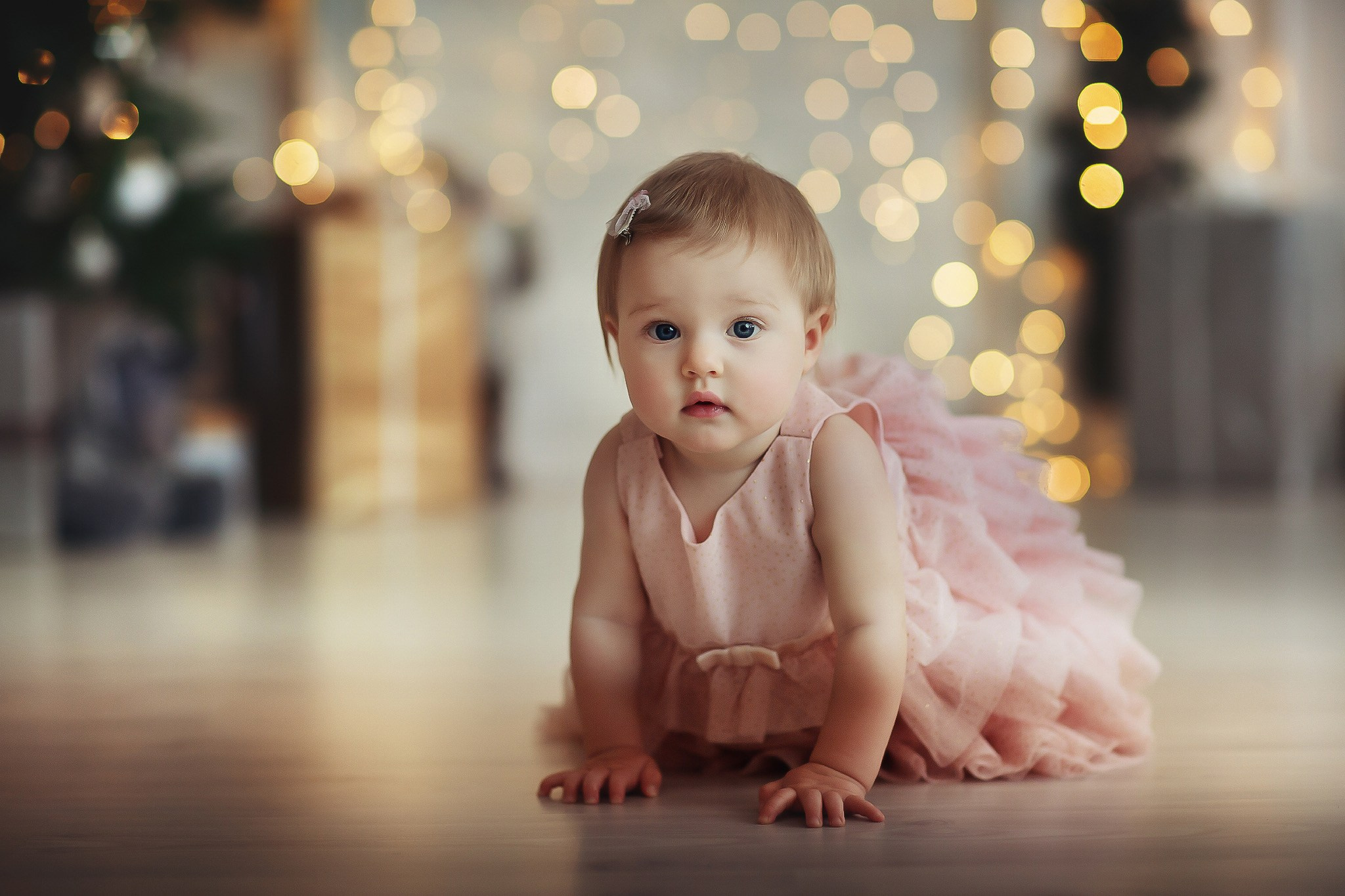 Christmas. Alla Semchenko — Photography Gran Canaria, Art / Family / Kids / Video & Photo Books