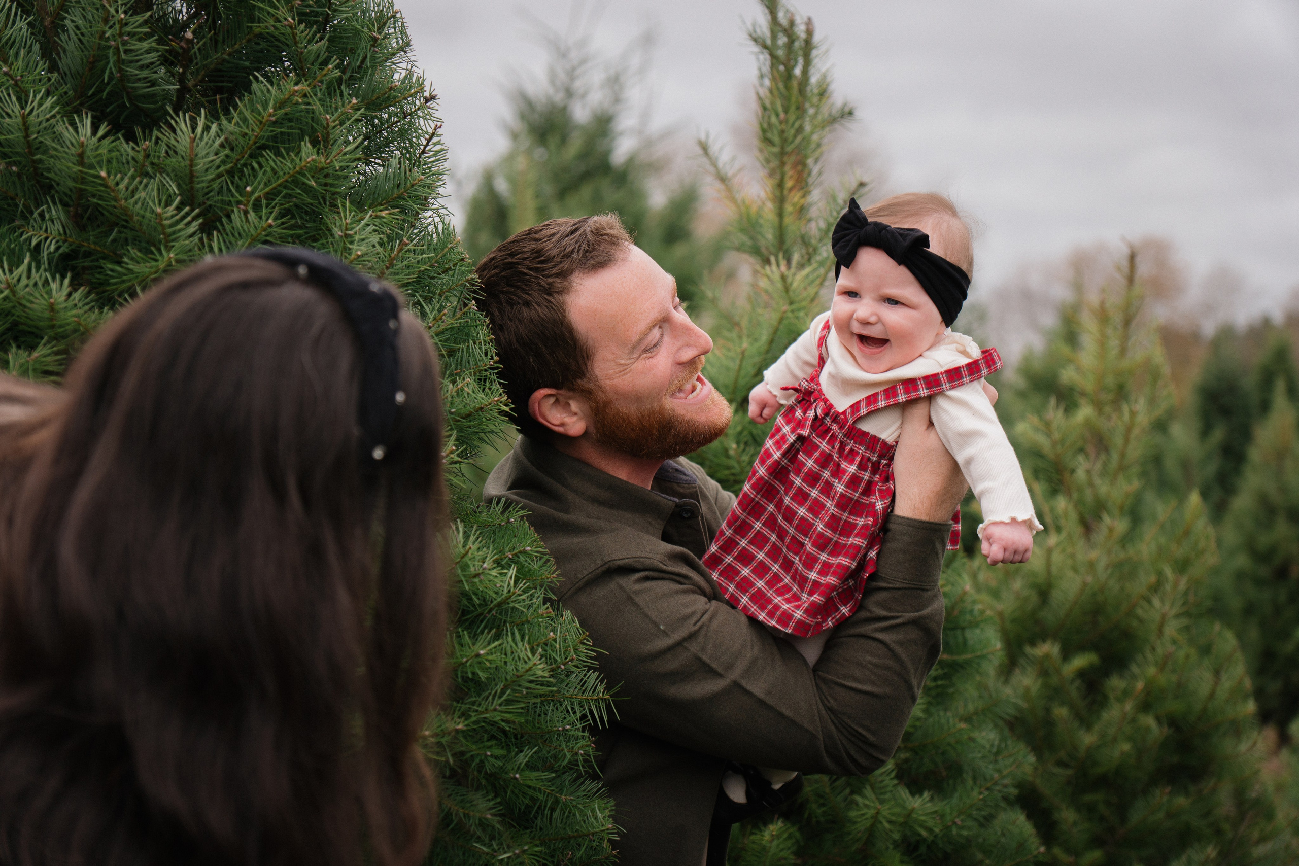 Christmas sessions. Photographer in Washington Sophia D