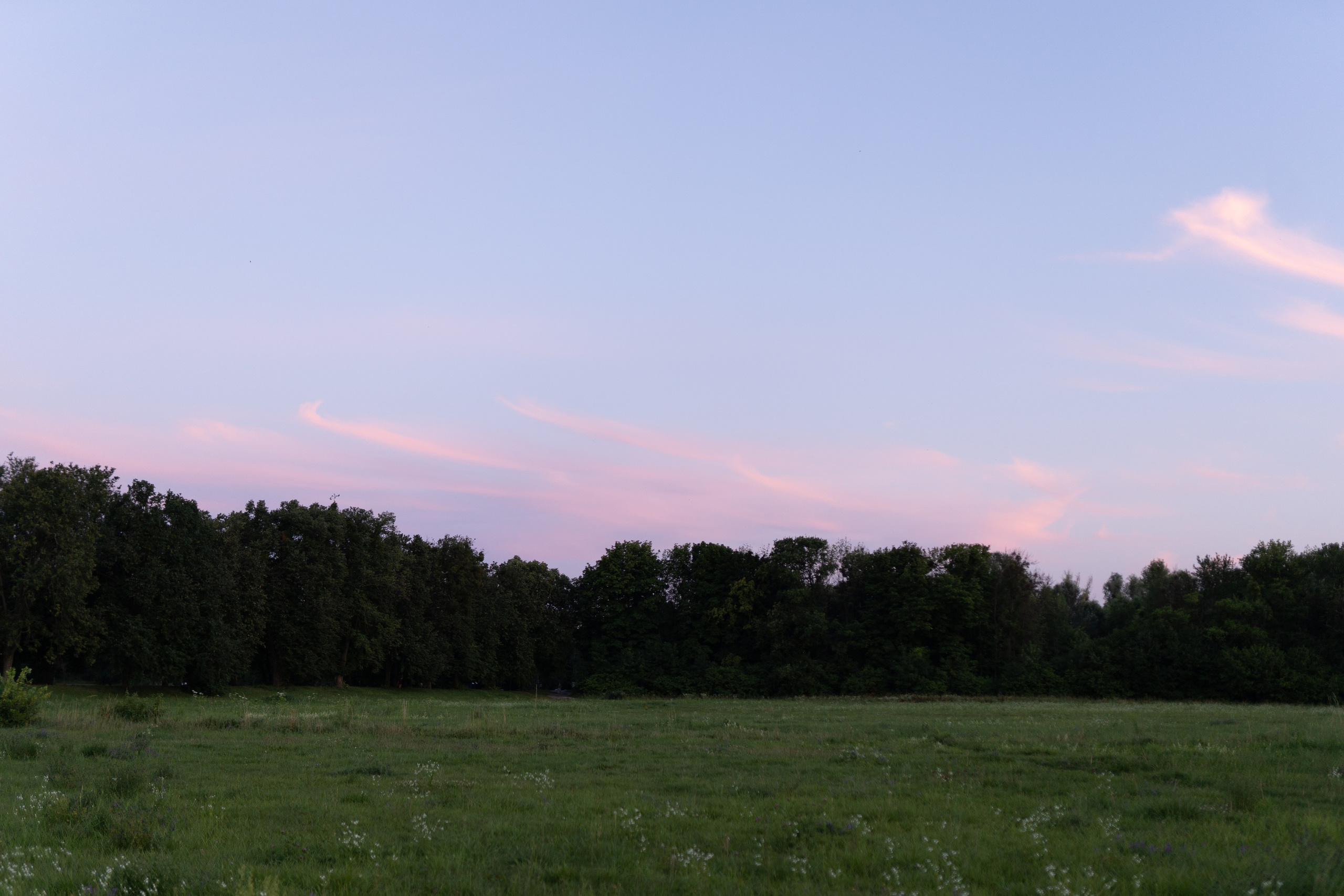 Богдан та Марія