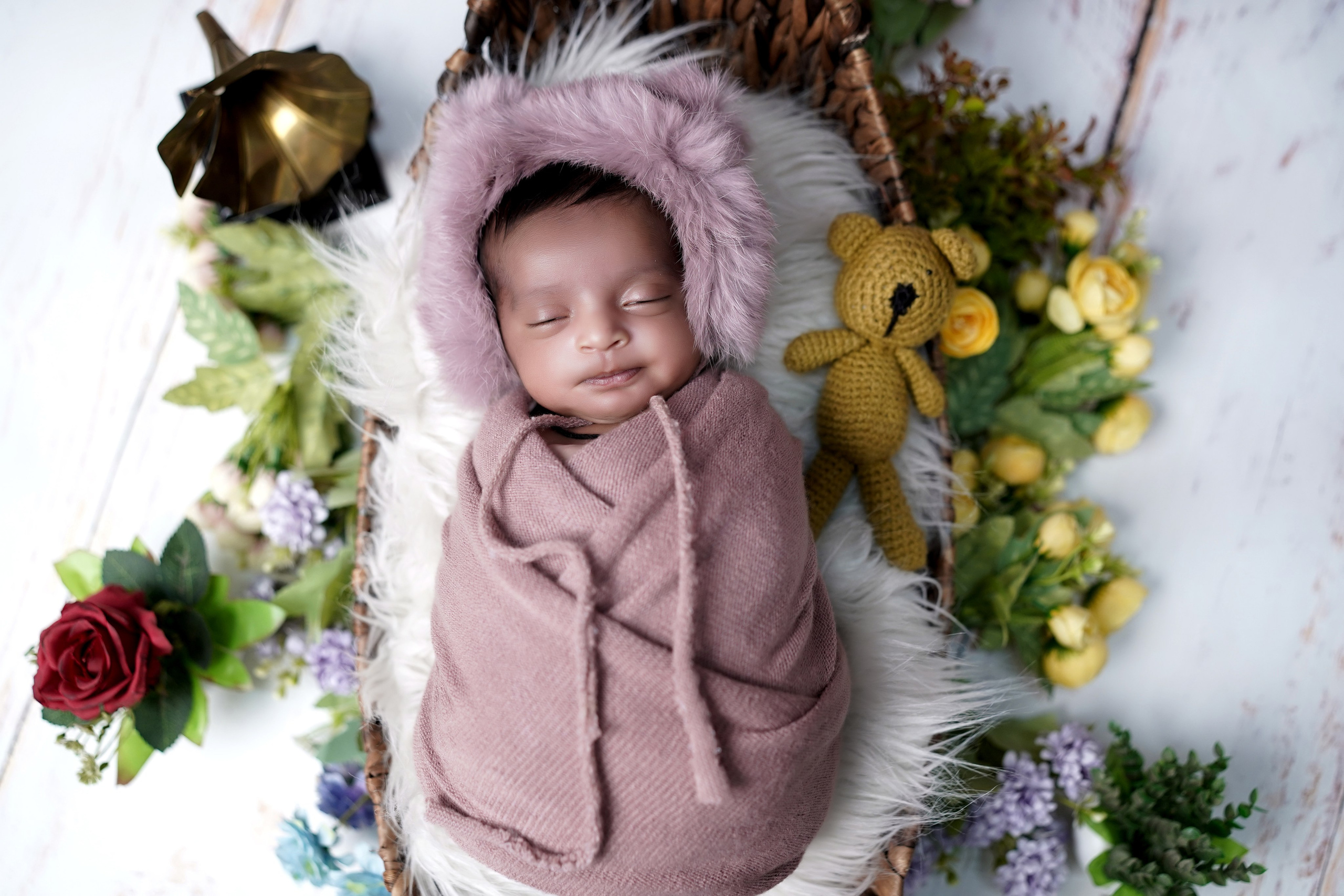 New born. TNF photo & filming
