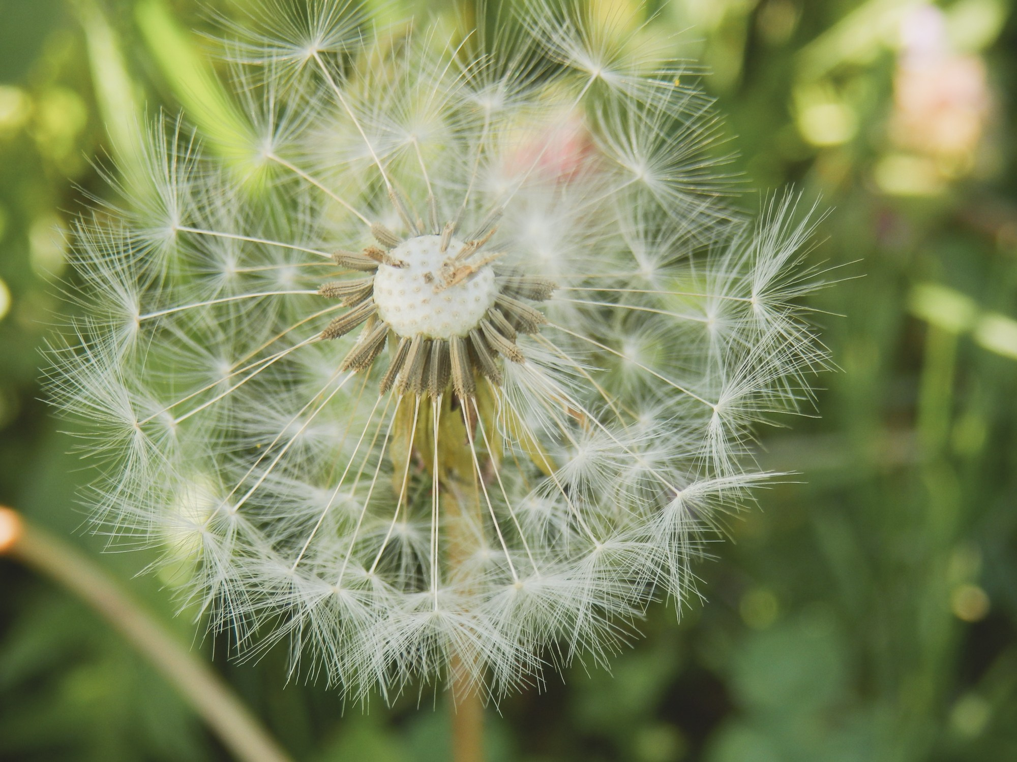 Peisaj /natura. Daniel Criste Fotograf