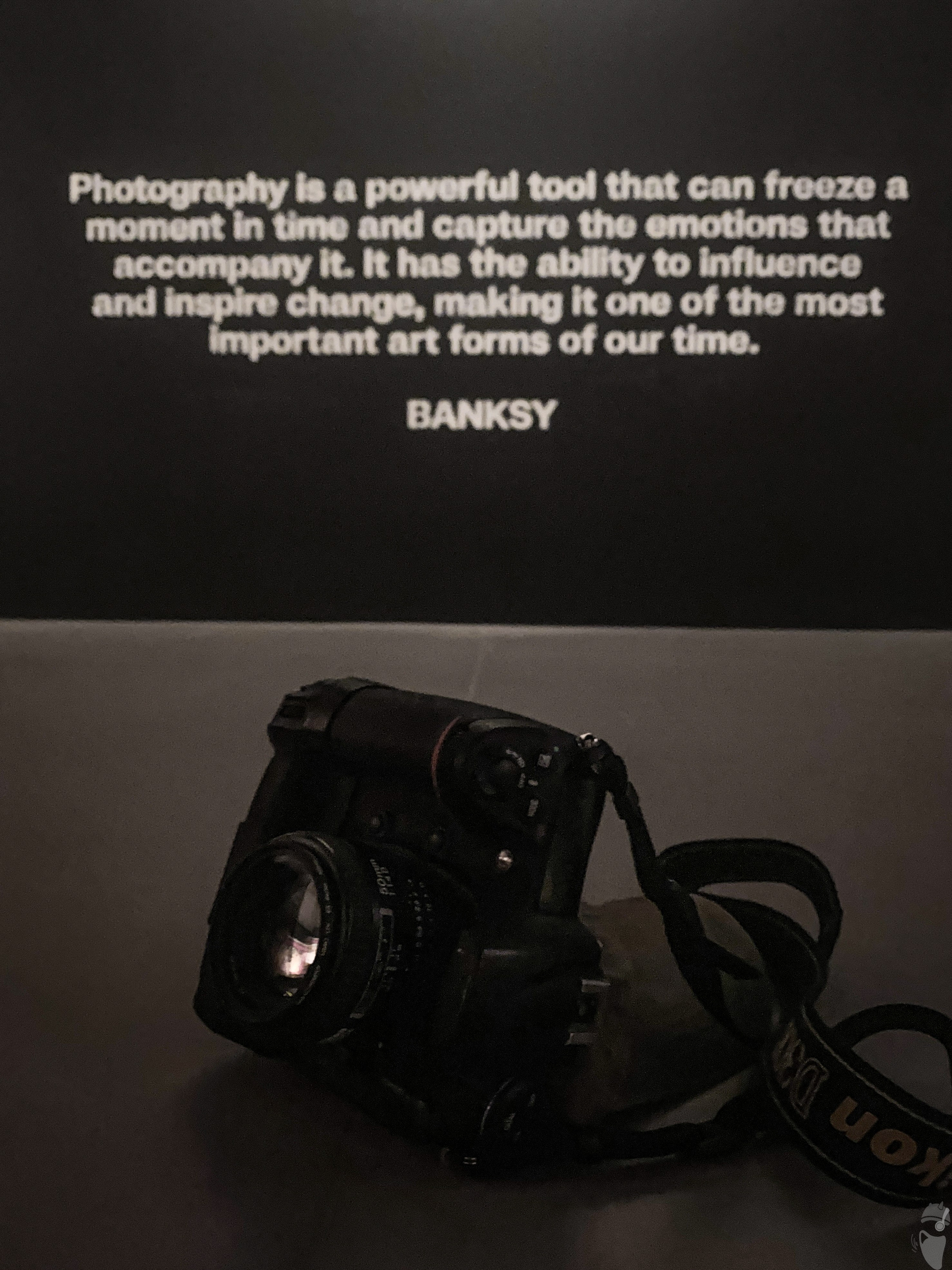 Banksy: Birth of an Icon // Tbilisi. VVoPoL