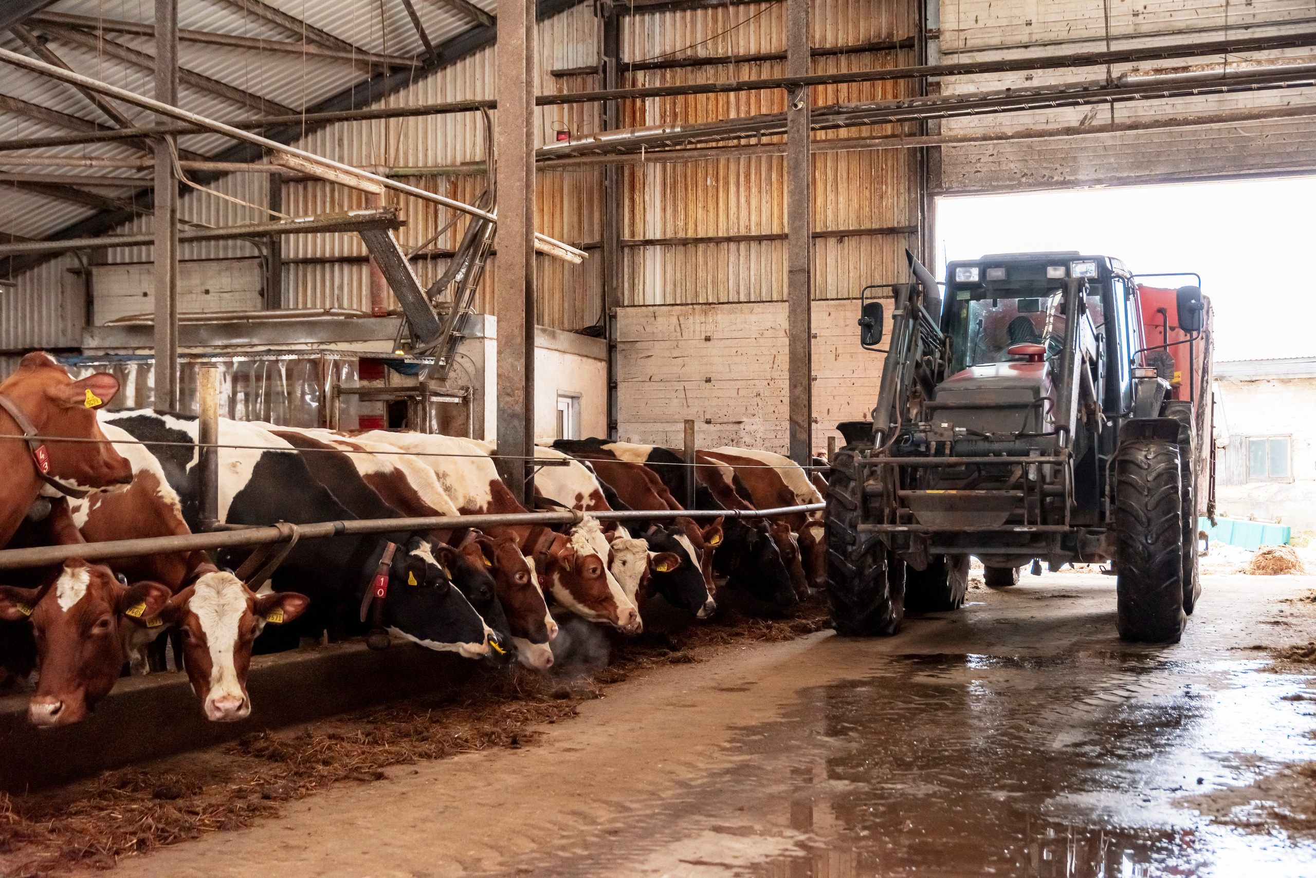 Apvienība par ilgtspējīgu lauksaimniecību. Fotogrāfs Rīgā. Gīmenes, individuālās un dažādu produktu fotosesijas