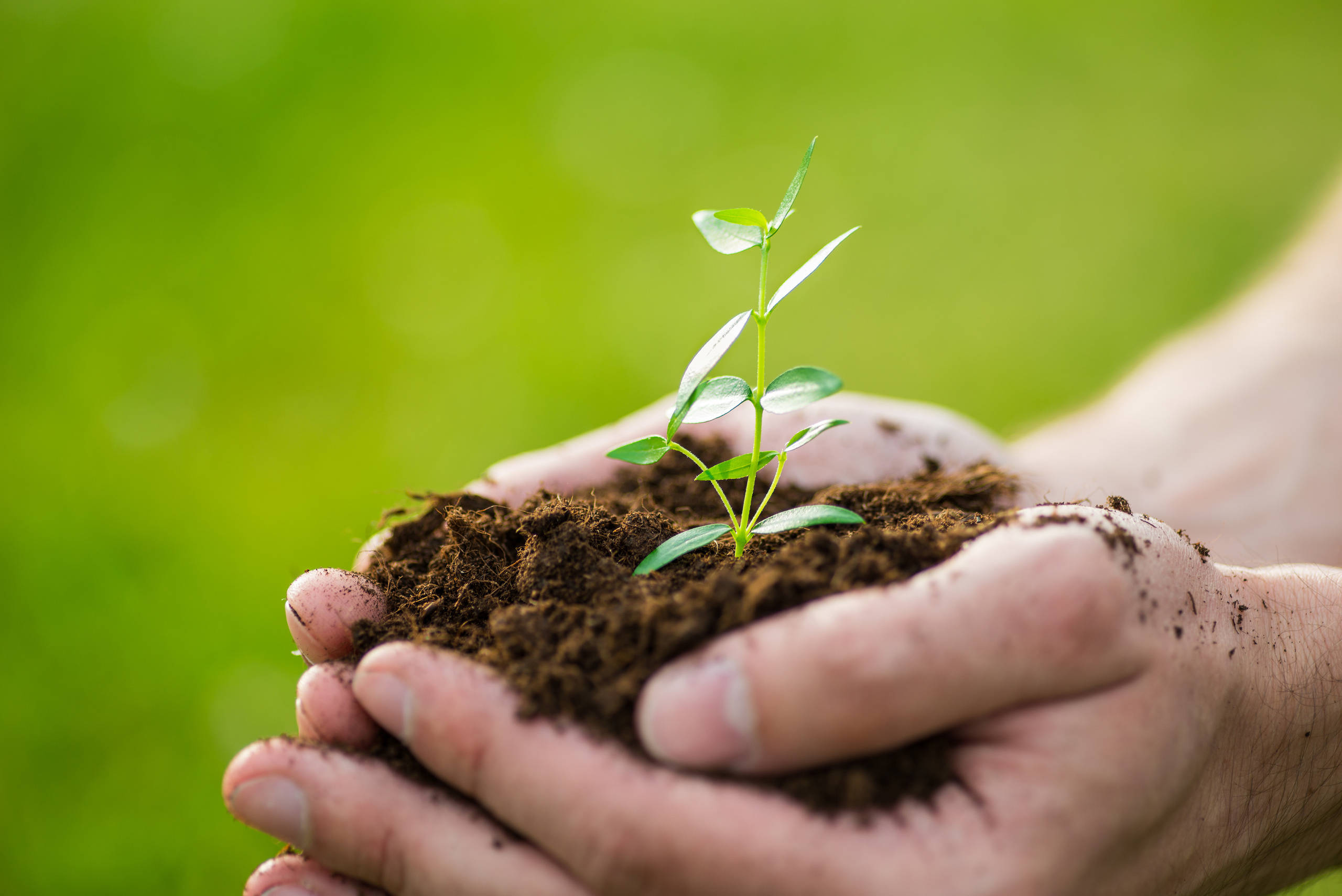 Fields. Fotogrāfs Rīgā. Gīmenes, individuālās un dažādu produktu fotosesijas