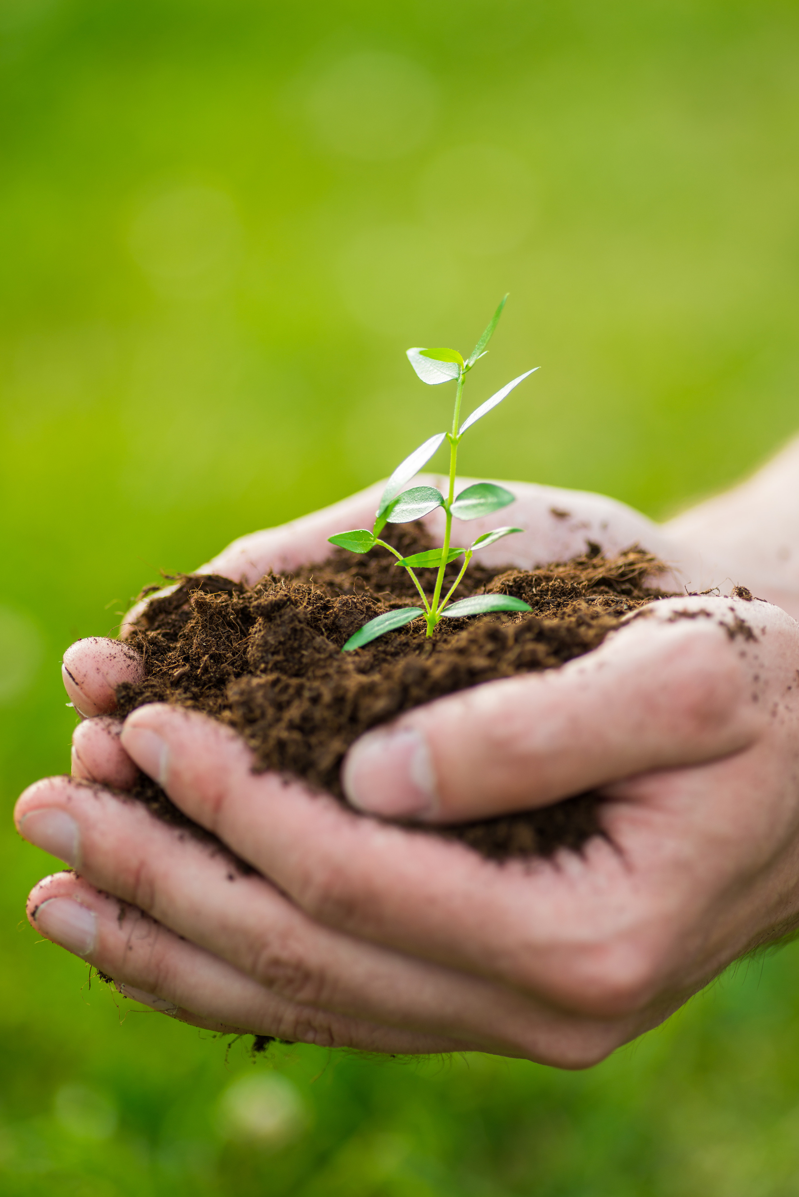 Fields. Fotogrāfs Rīgā. Gīmenes, individuālās un dažādu produktu fotosesijas