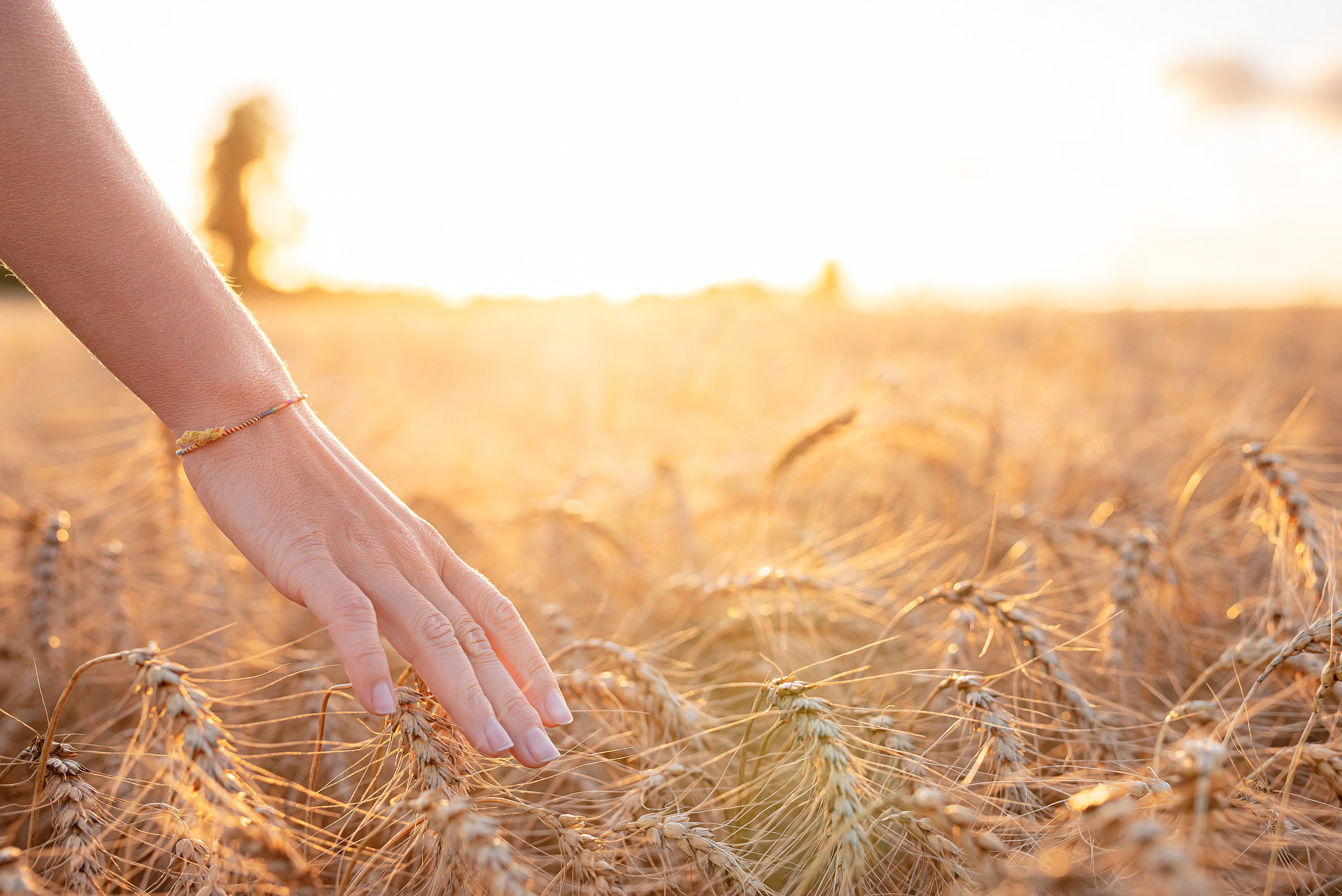 Fields. Fotogrāfs Rīgā. Gīmenes, individuālās un dažādu produktu fotosesijas