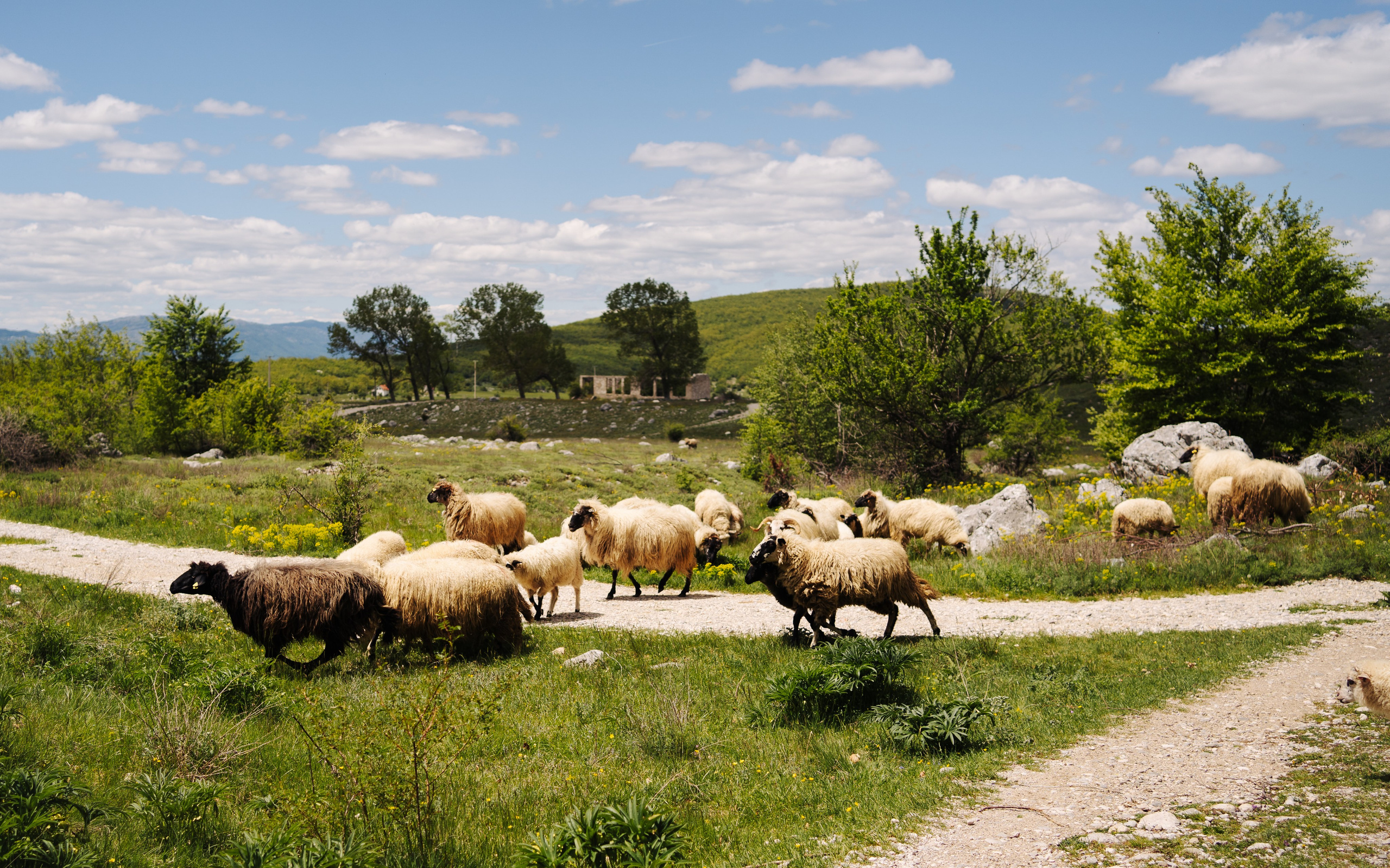 LANDSCAPE. PHOTOGRAPHER|VIDEOGRAPHER MONTENEGRO