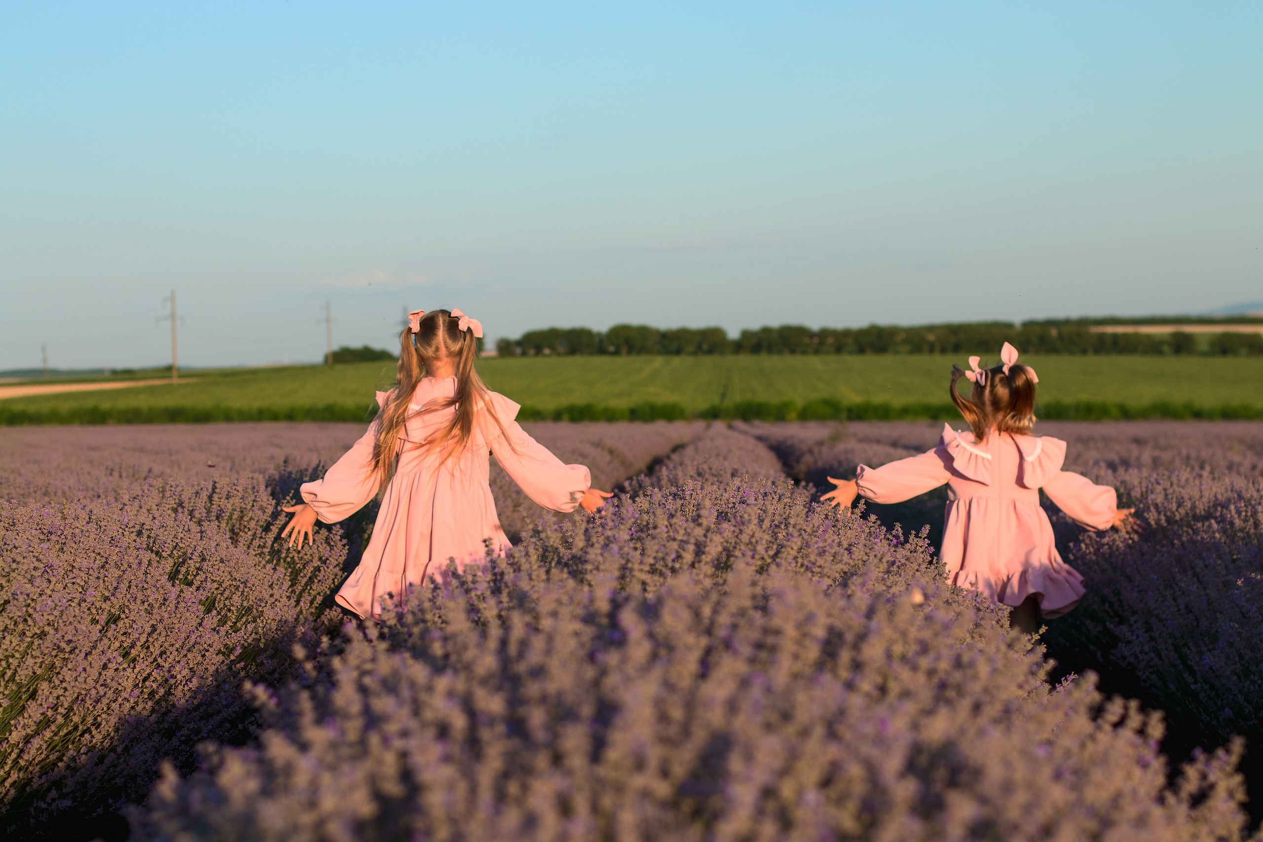 Лаванда. Детский и семейный фотограф в г. Бельцы