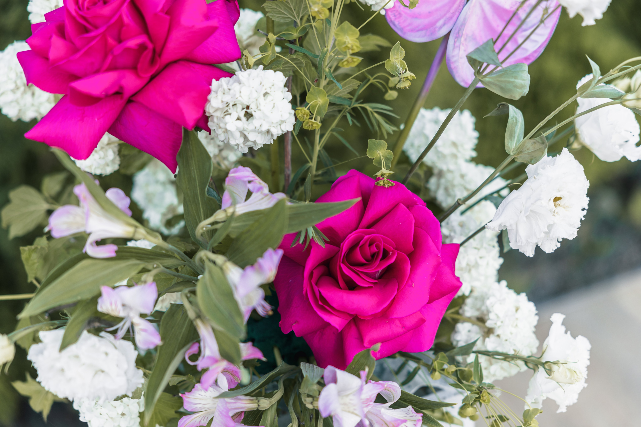 WEDDING. Hanna Datskevich