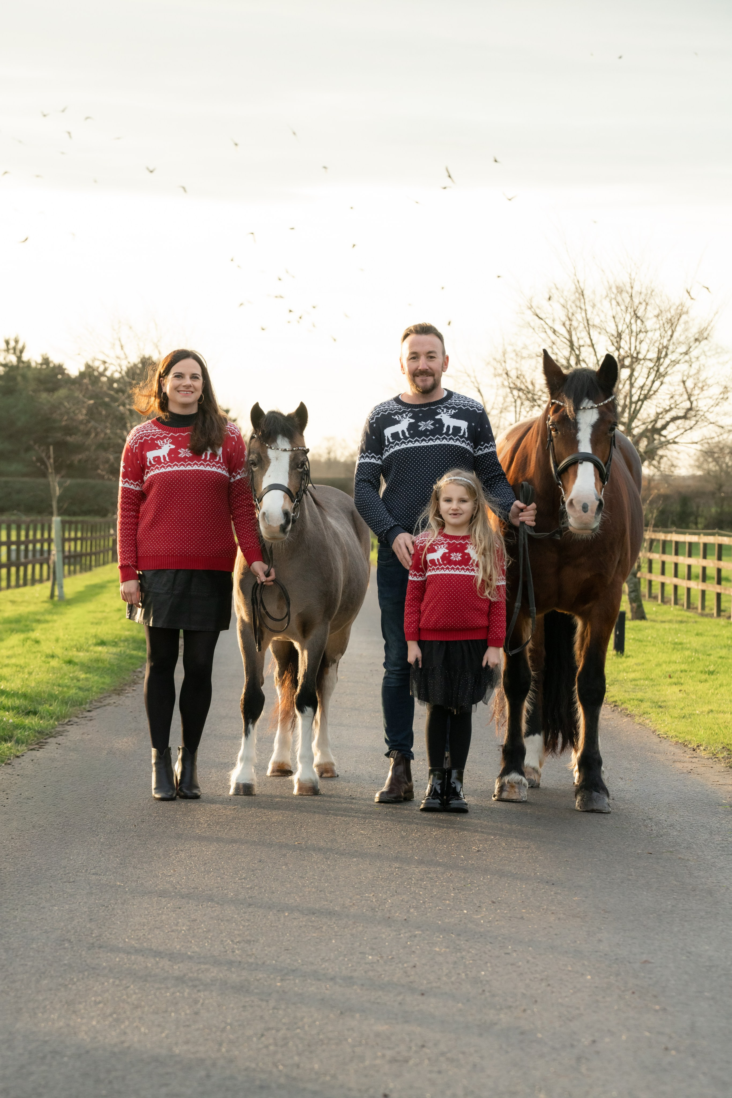 Equine Photography Portfolio | Leicestershire Horse Portrait Photographer. Leicestershire Equine Photography by El | Authentic Equine Portraits & Events
