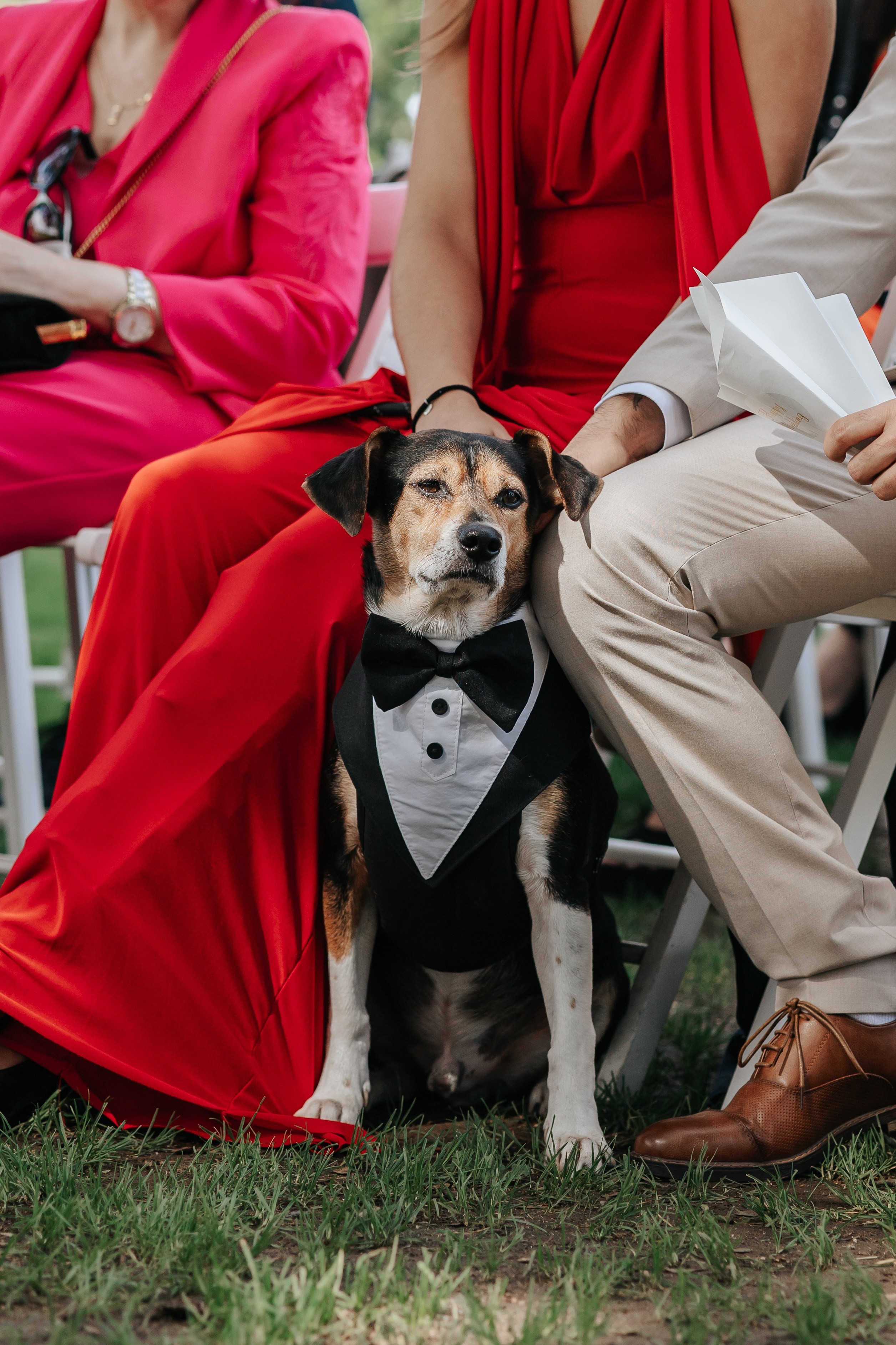 Marta+Adria, 27.09.2025, Can Caballe. Wedding photographer in Catalonia