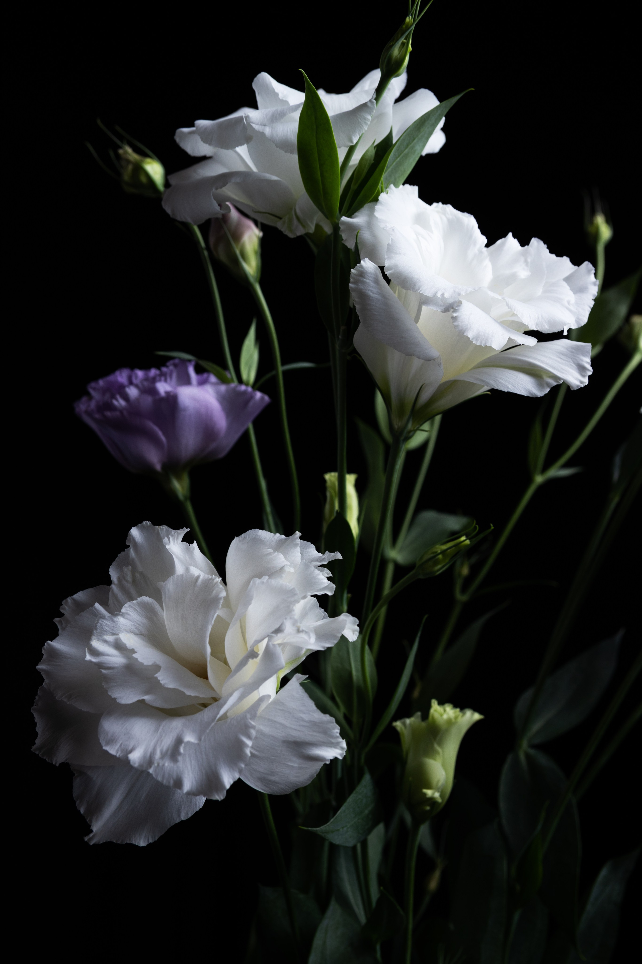 Предметная съемка. Семейный и рекламный фотограф в Ташкенте Мария Кудрявцева