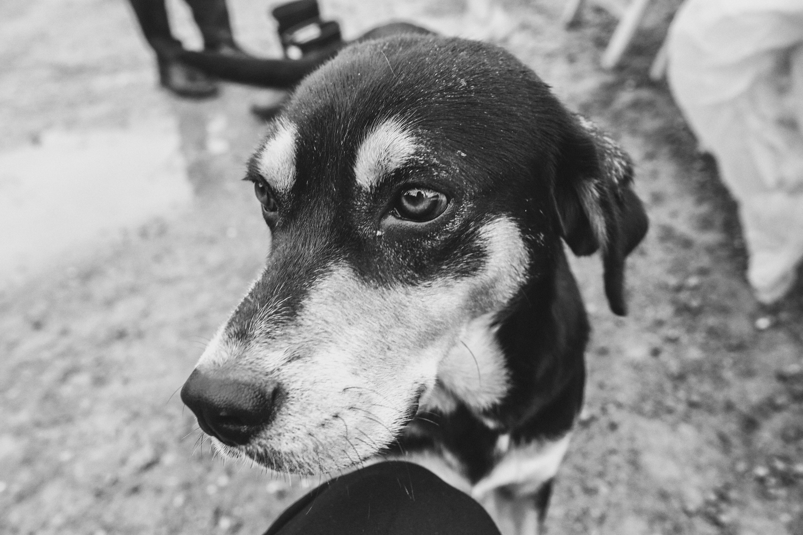 Annanuri. Свадебный, семейный и детский фотограф в Беларуси и за ее пределами