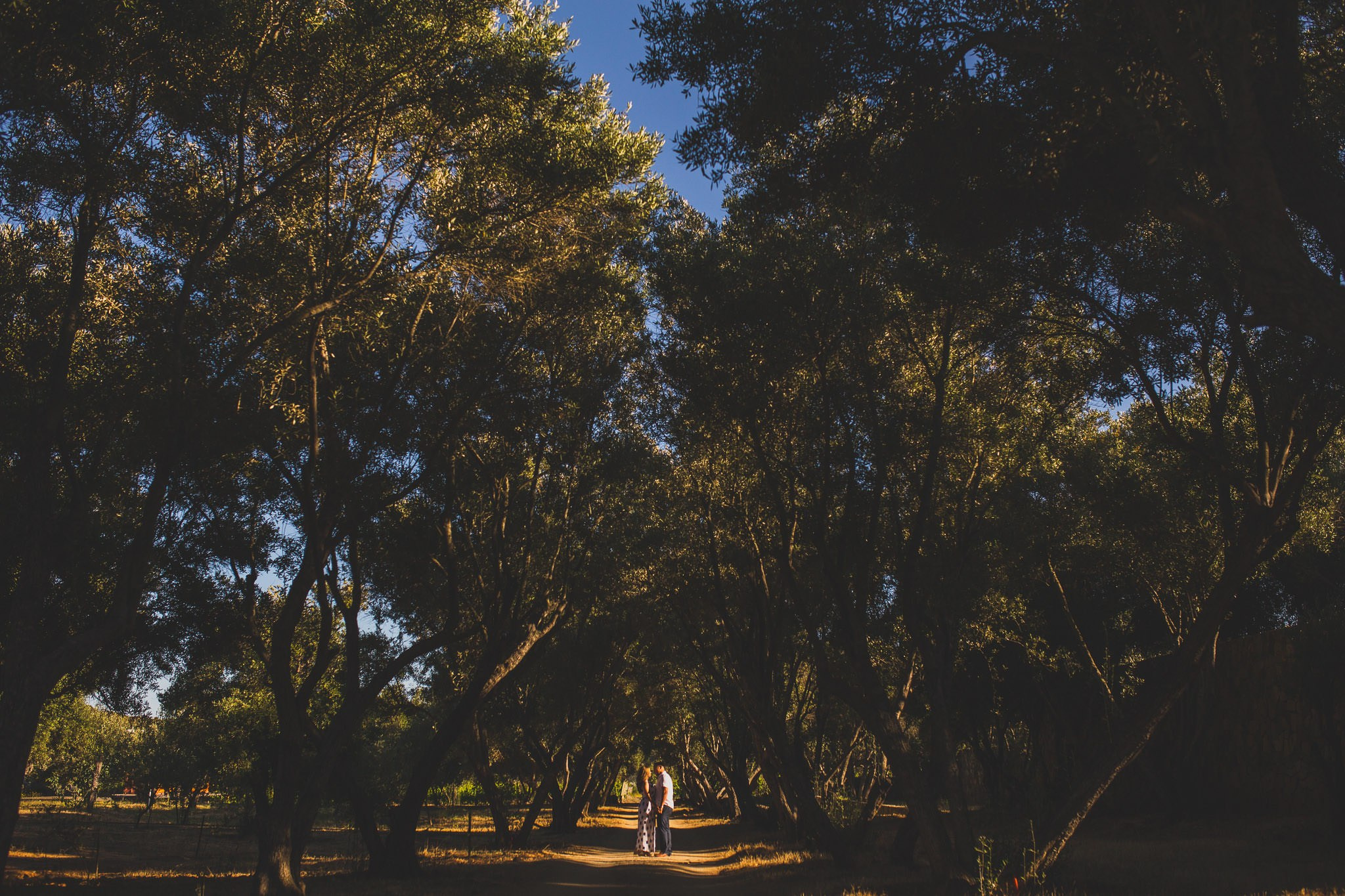 Cuatro Cuatros, Lucerna, Espiritu Sto y La Pérgola Boda Samantha Y Hector. Estudio de fotografia en Tijuana