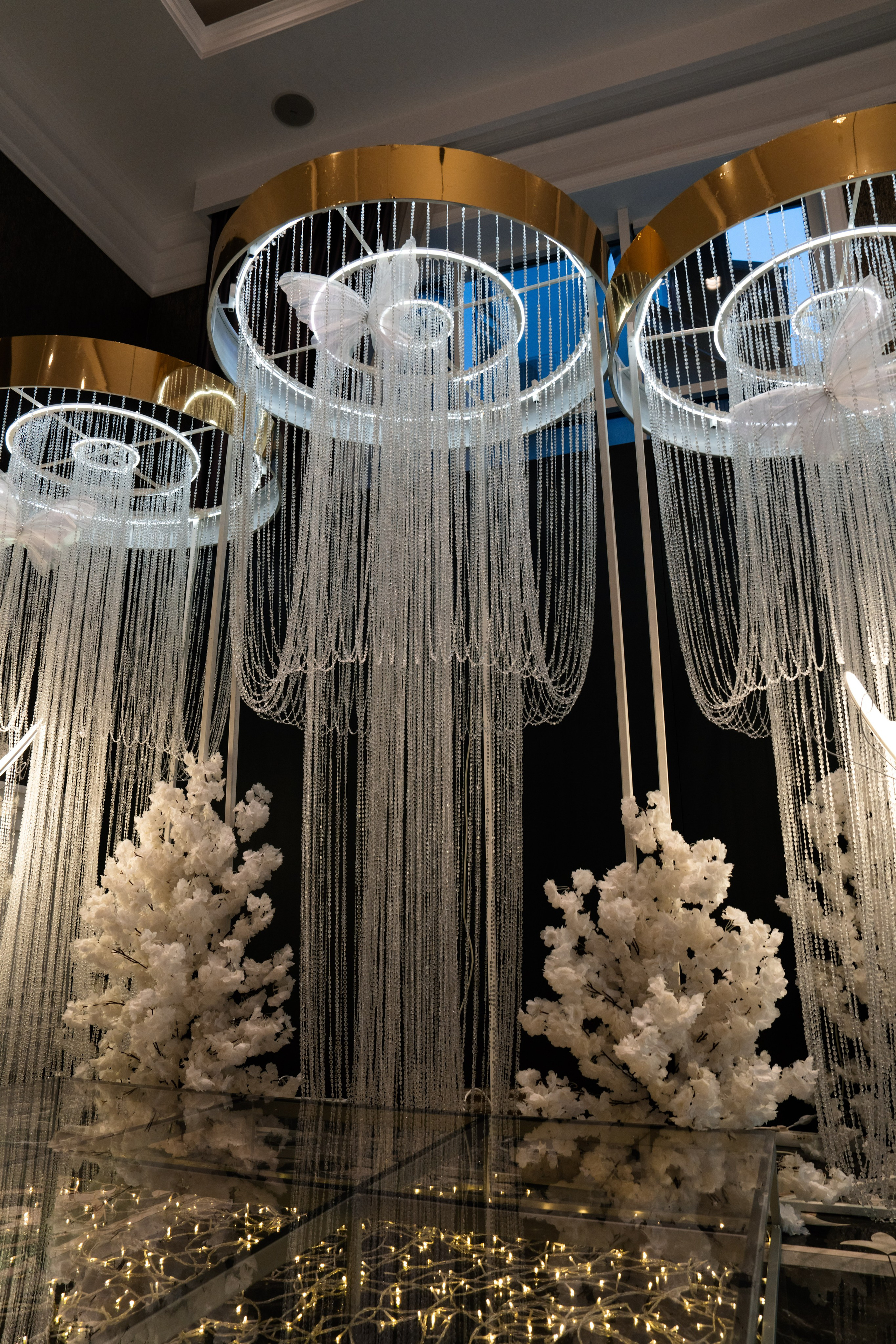 Cosmin & Anamaria. Studio Timis