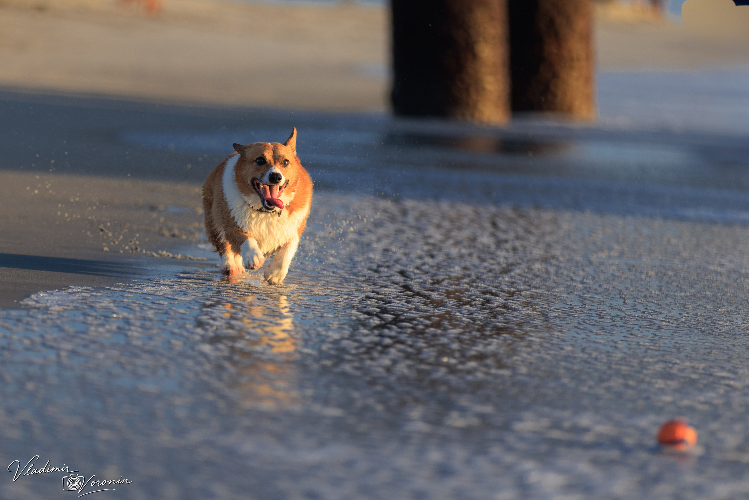 St. Augustine Beach. Photographer St. Augustine