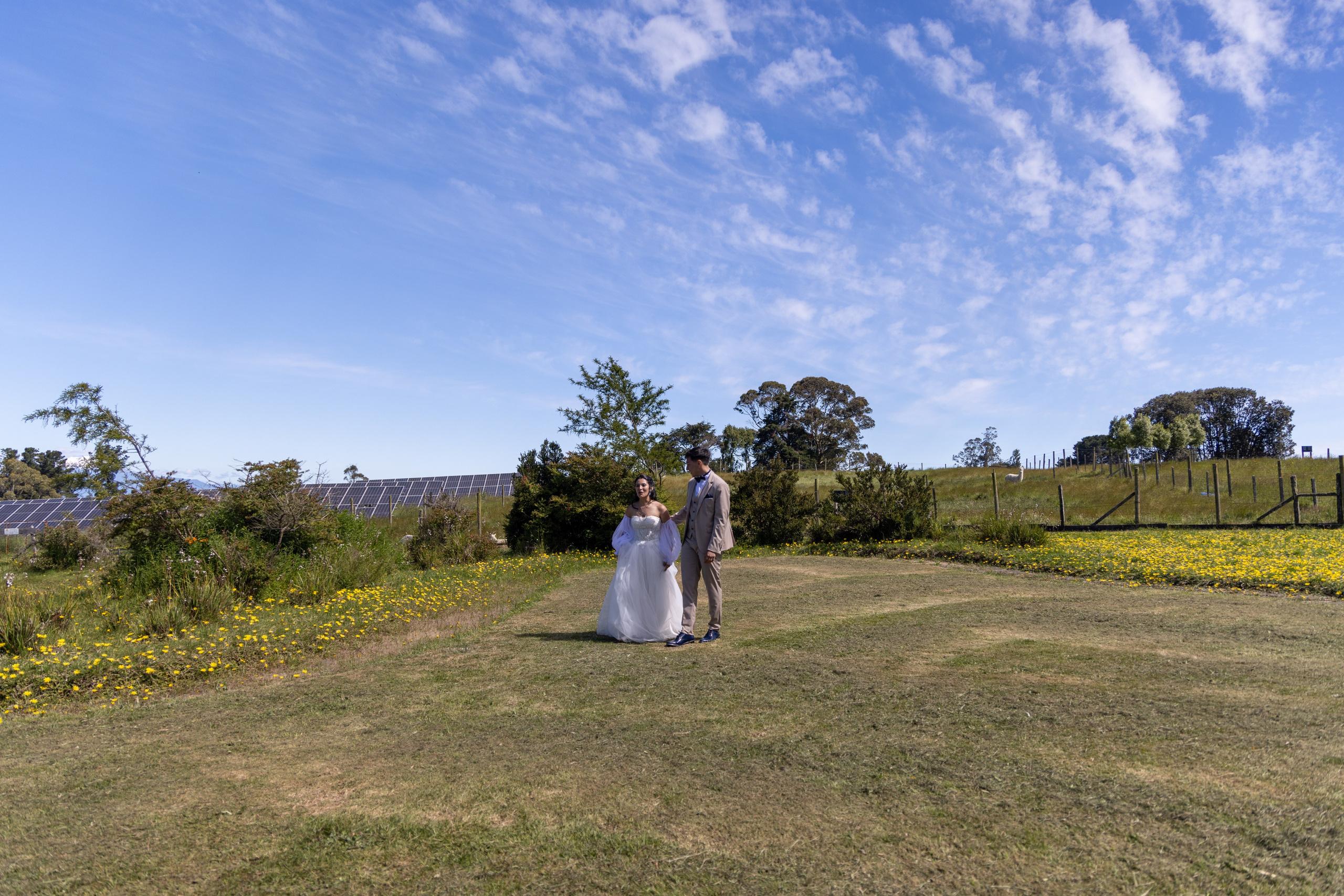 Carol & Ivo. Dinka & Emilio - El arte de preservar lo que no se repite