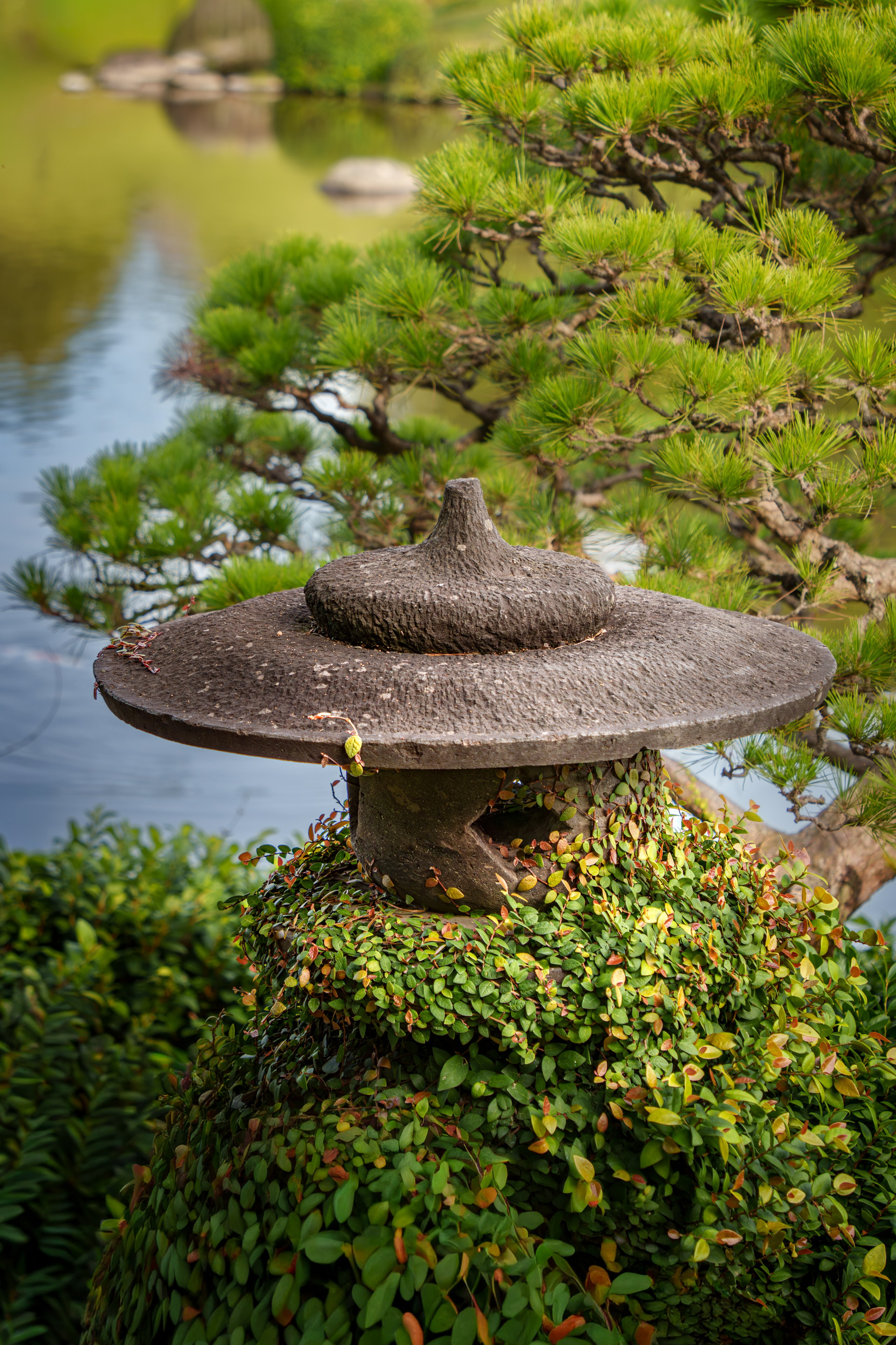 Giardino Giapponese. Olga Manukhina fotografo in Sardegna