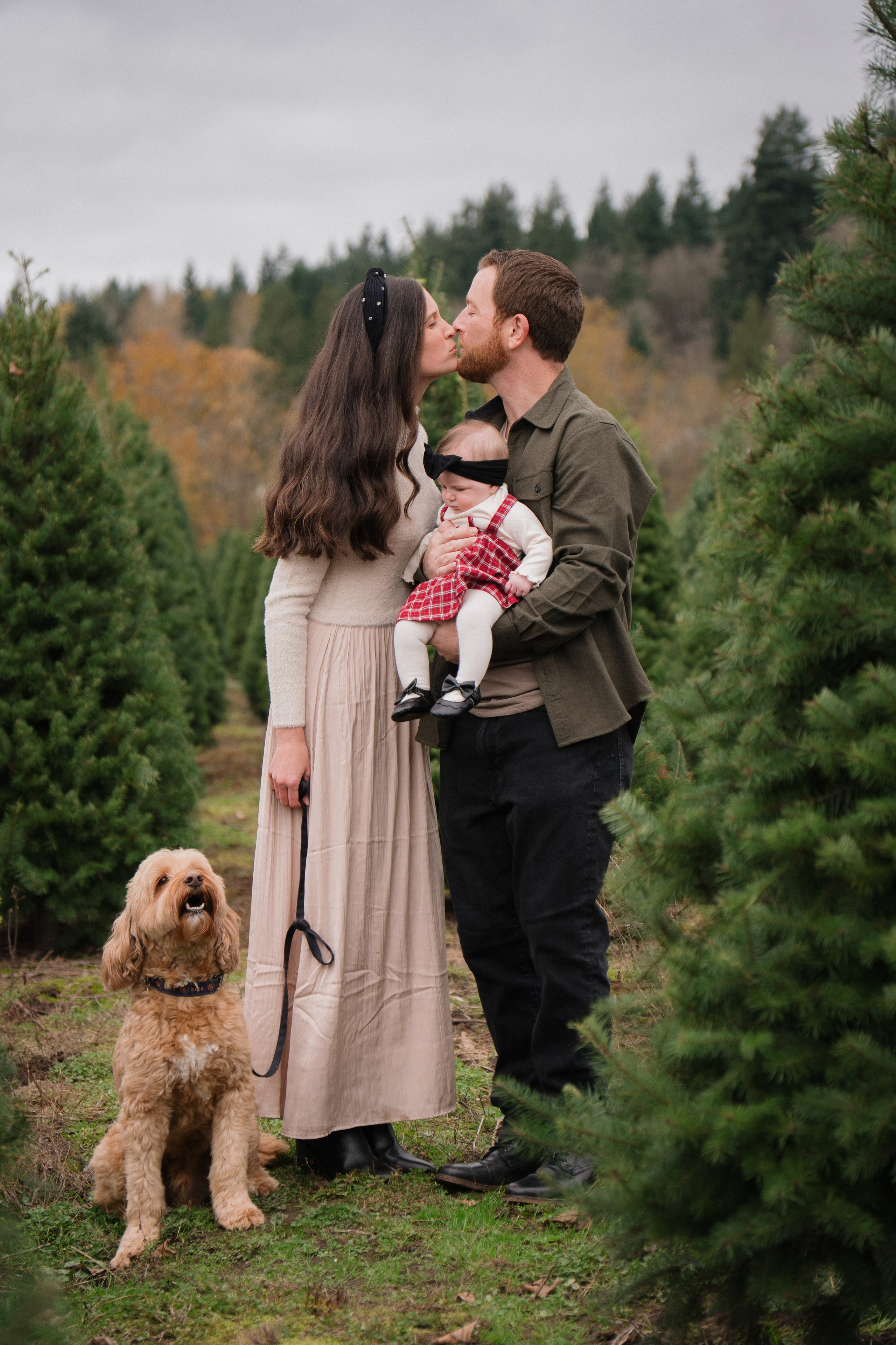 Christmas sessions. Photographer in Washington Sophia D