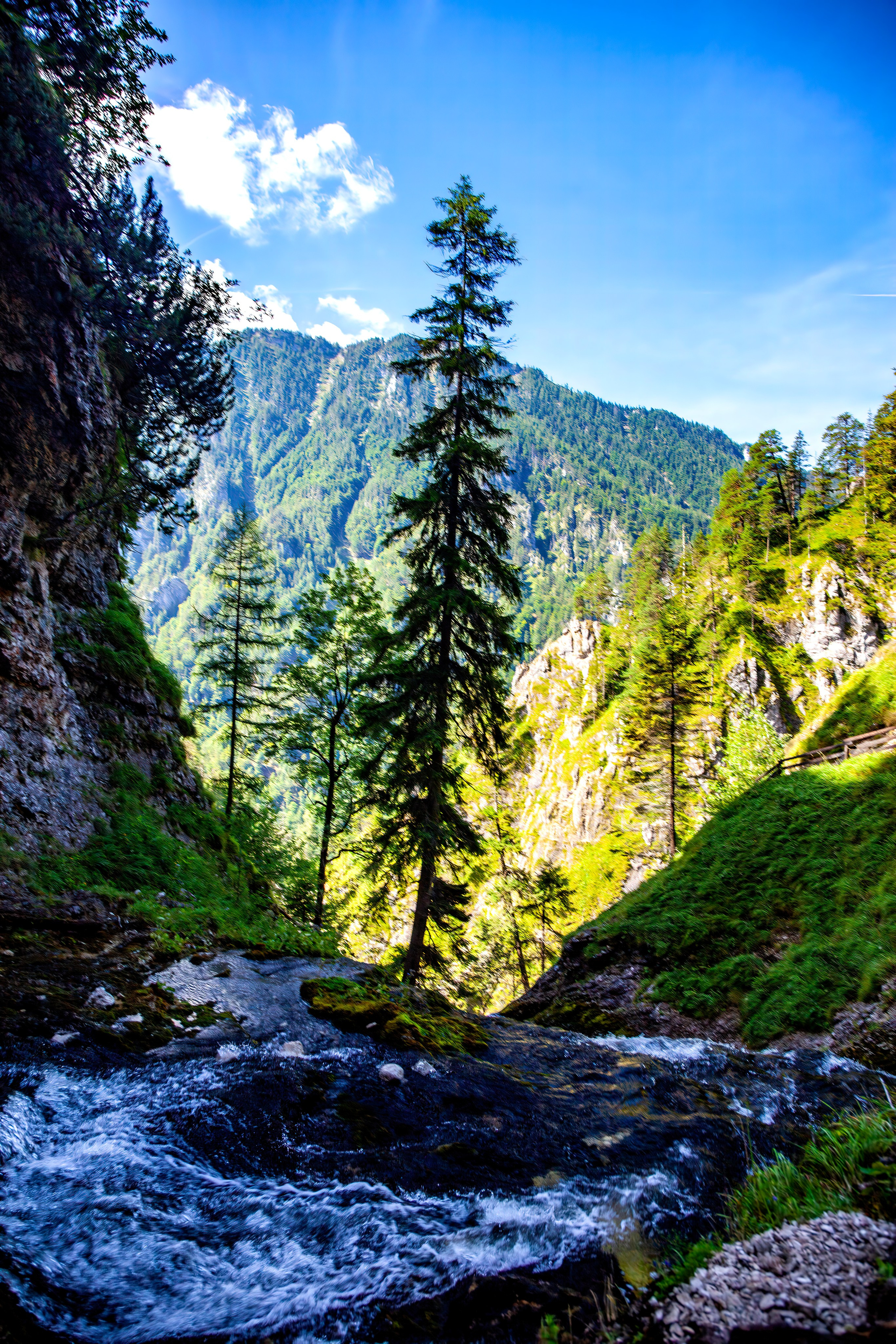 193.Wasserloch Klamm.Palfau.18.8.2025. Путешествия в формате 360......