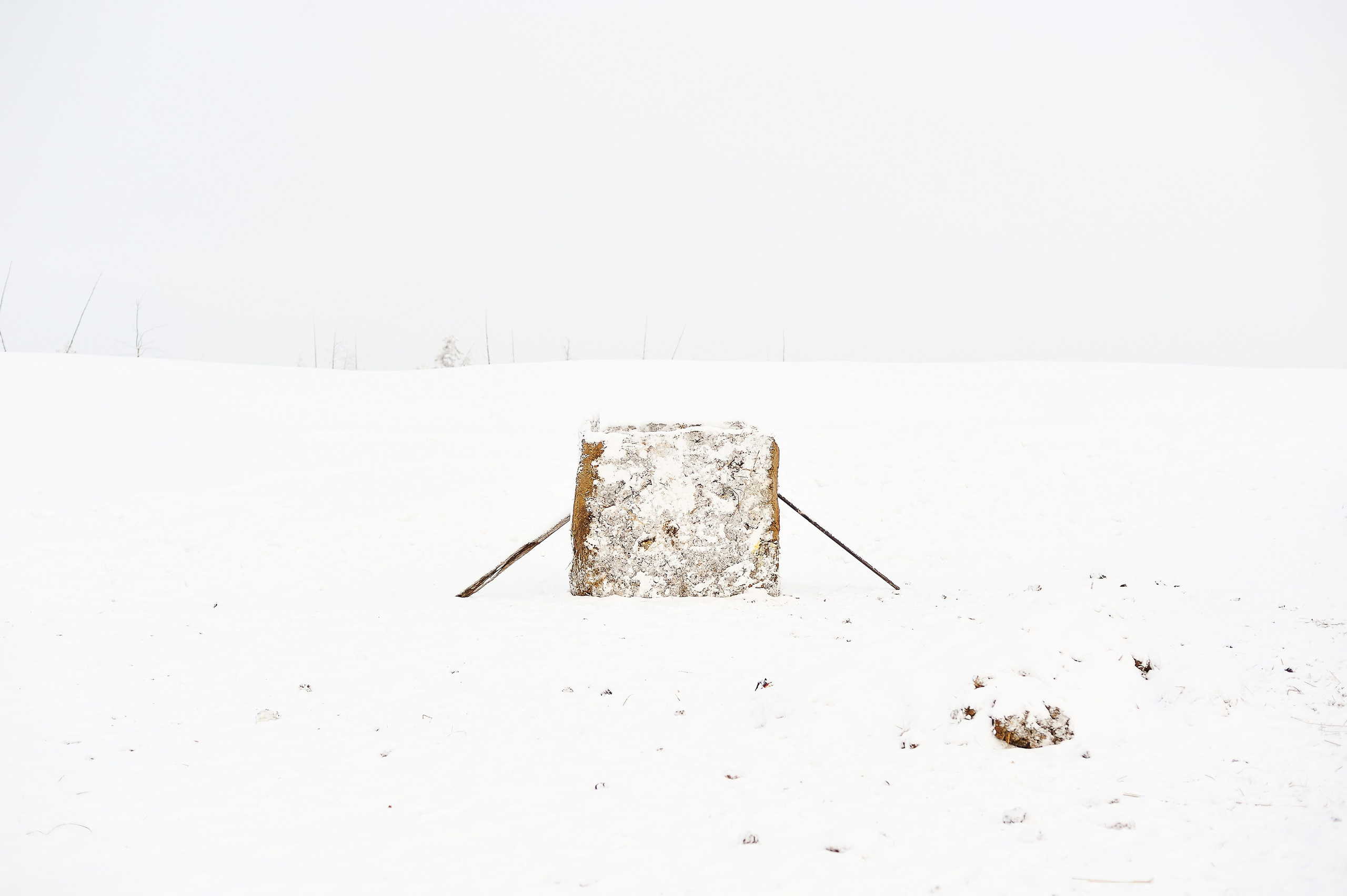 La meilleure saison. Ayar Kuo