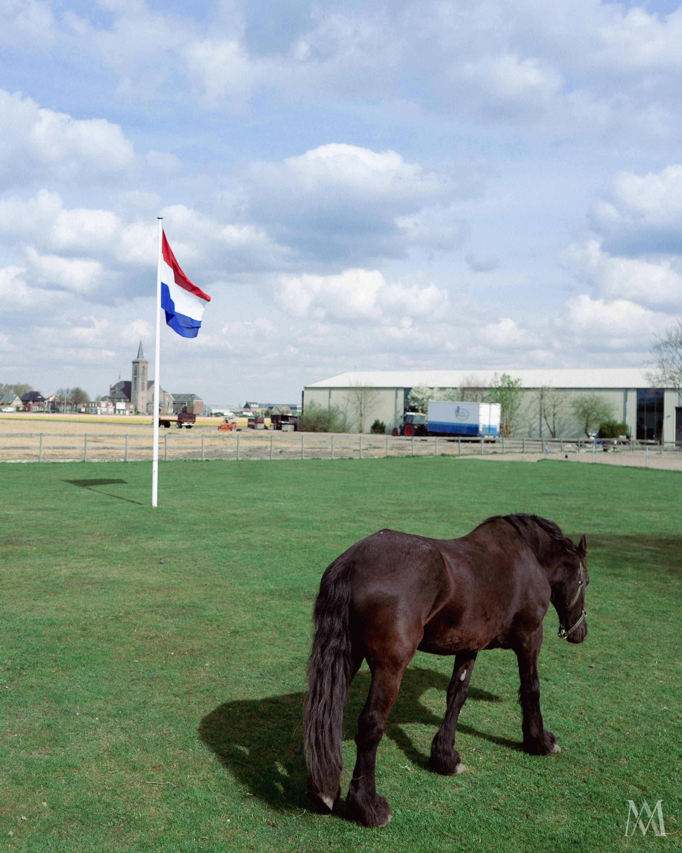 NETHERLANDS. MA Visuals — Fotografia e Vídeo