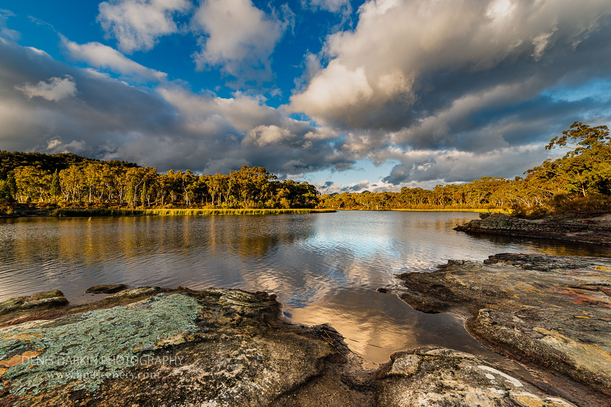 Golden light falls on Dunns Swamp lake shores. Reflections, Wollemi National Park, NSW, Ganguddy-Dunns Swamp