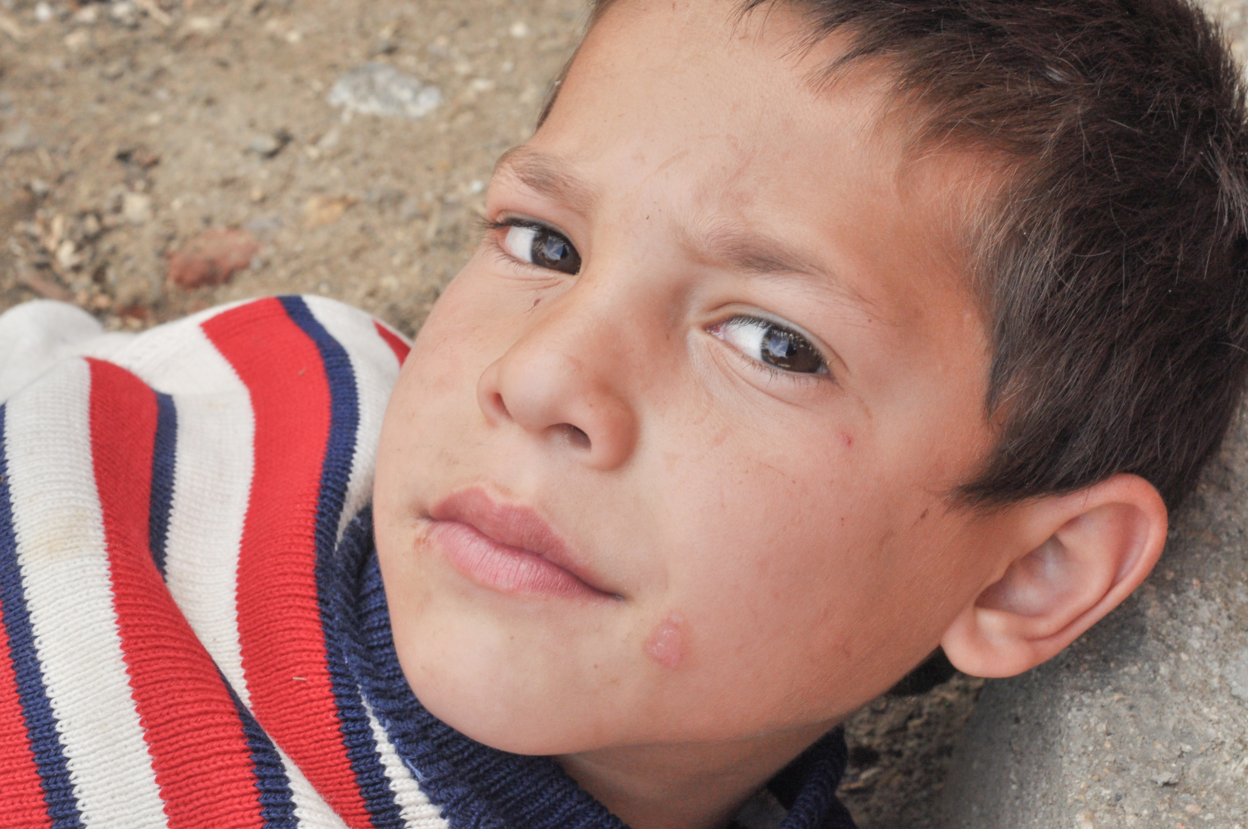 Hope for Cherry Blossom. Mayya Kelova artist