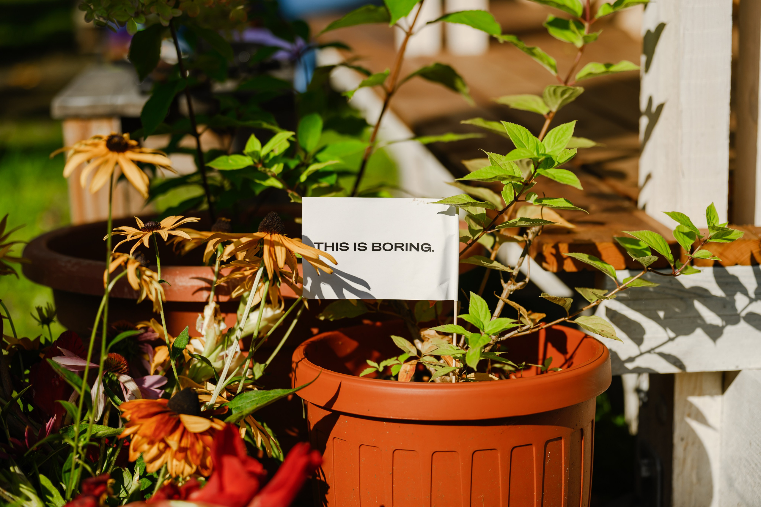 Station Narva 2025. Jelizaveta Gross - reportaaži- ja portreefotograaf Narvas