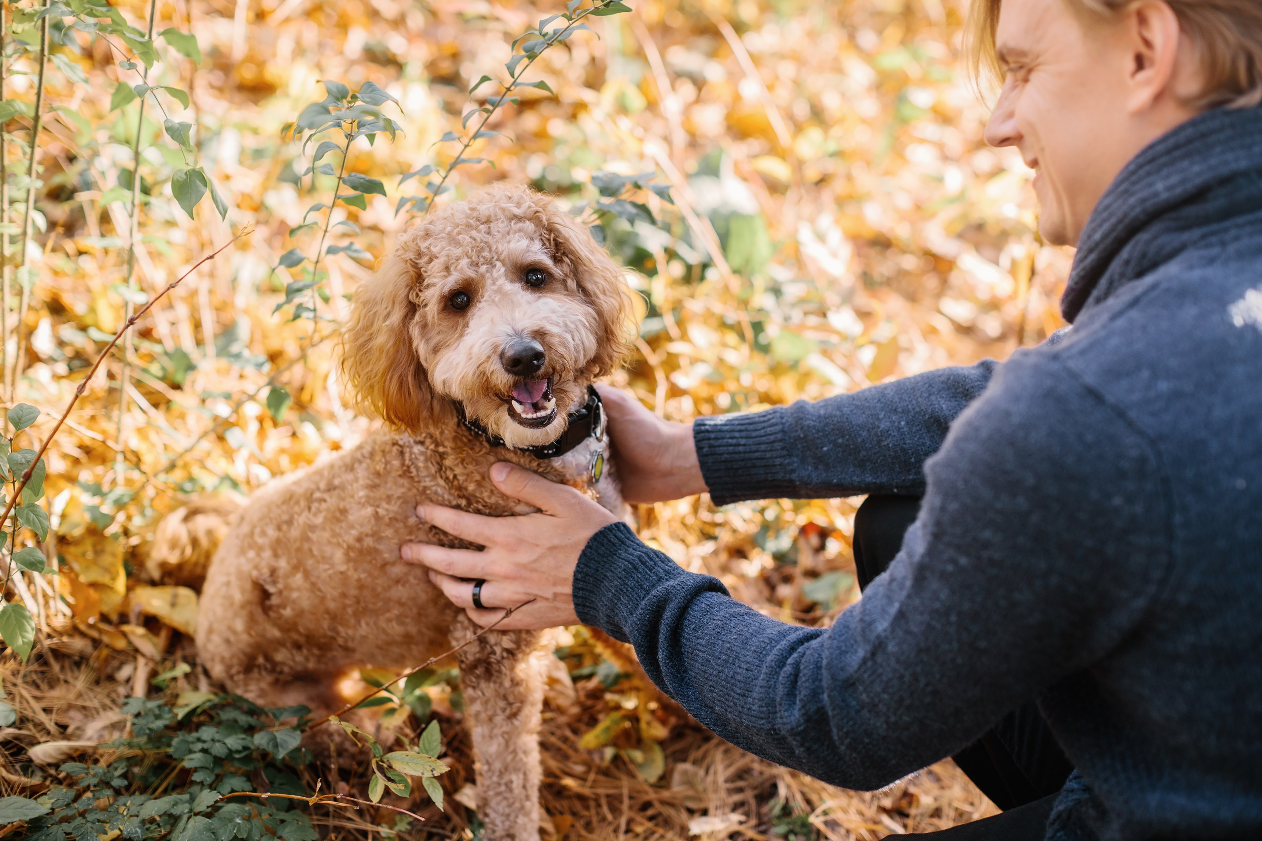 11.02.2024 Love Story. Wedding family event photographer in Chicago Nick Yushevich