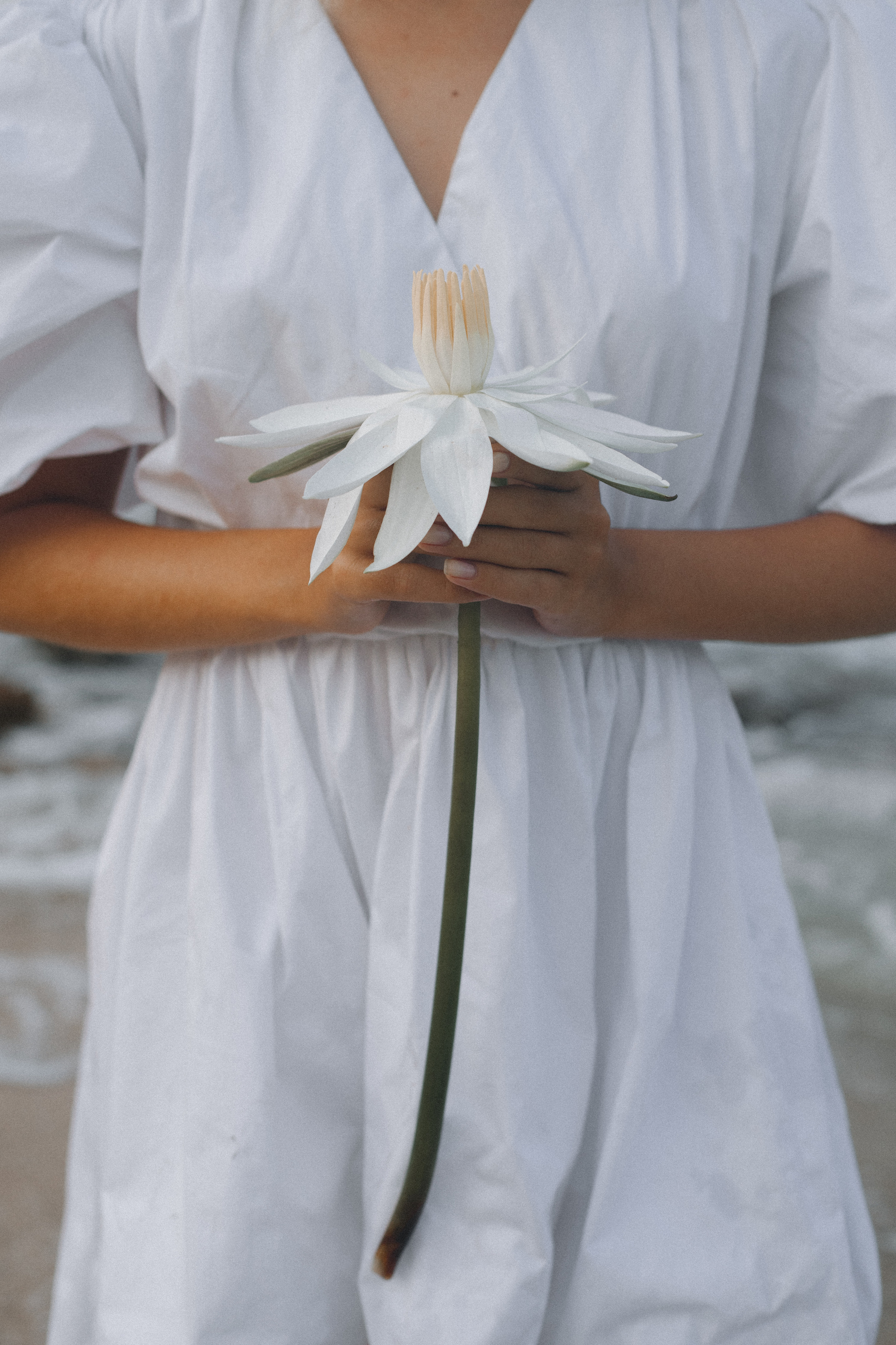 Lotos. Wedding photographer Mexico Sayulita Puerto Vallarta Punta Mita Cabo