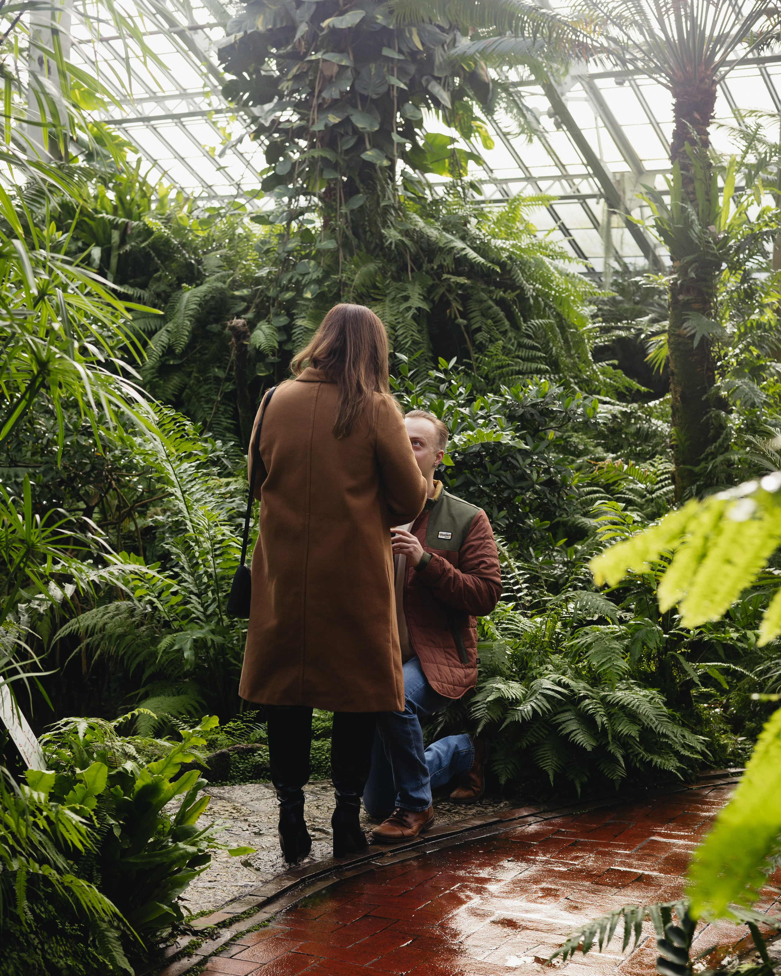 Garfield Conservatory Proposal — Chicago Engagement Photographer