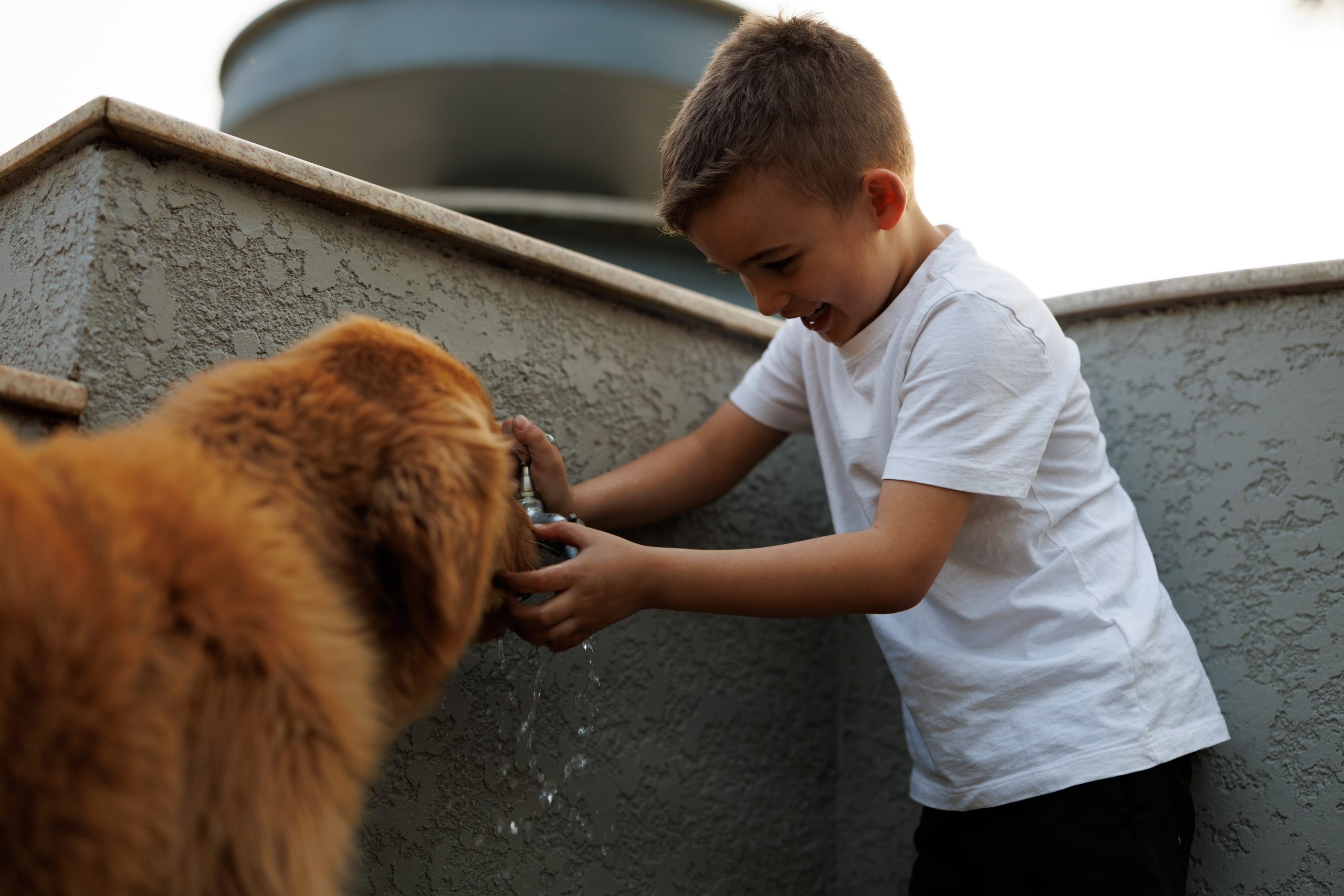 Maternity & Family. Wedding Photographer in Brazil | Based in Paraná, available across Brazil and worldwide