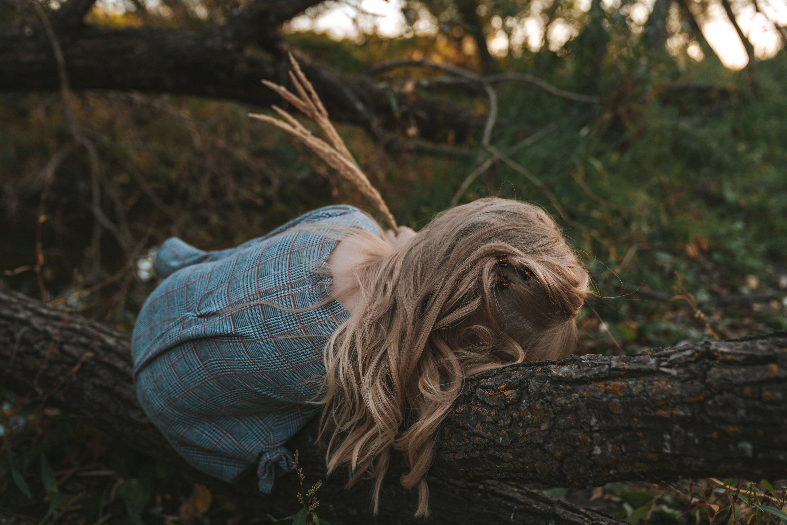 Holly. Photographer Viktoriia Skavronskaya
