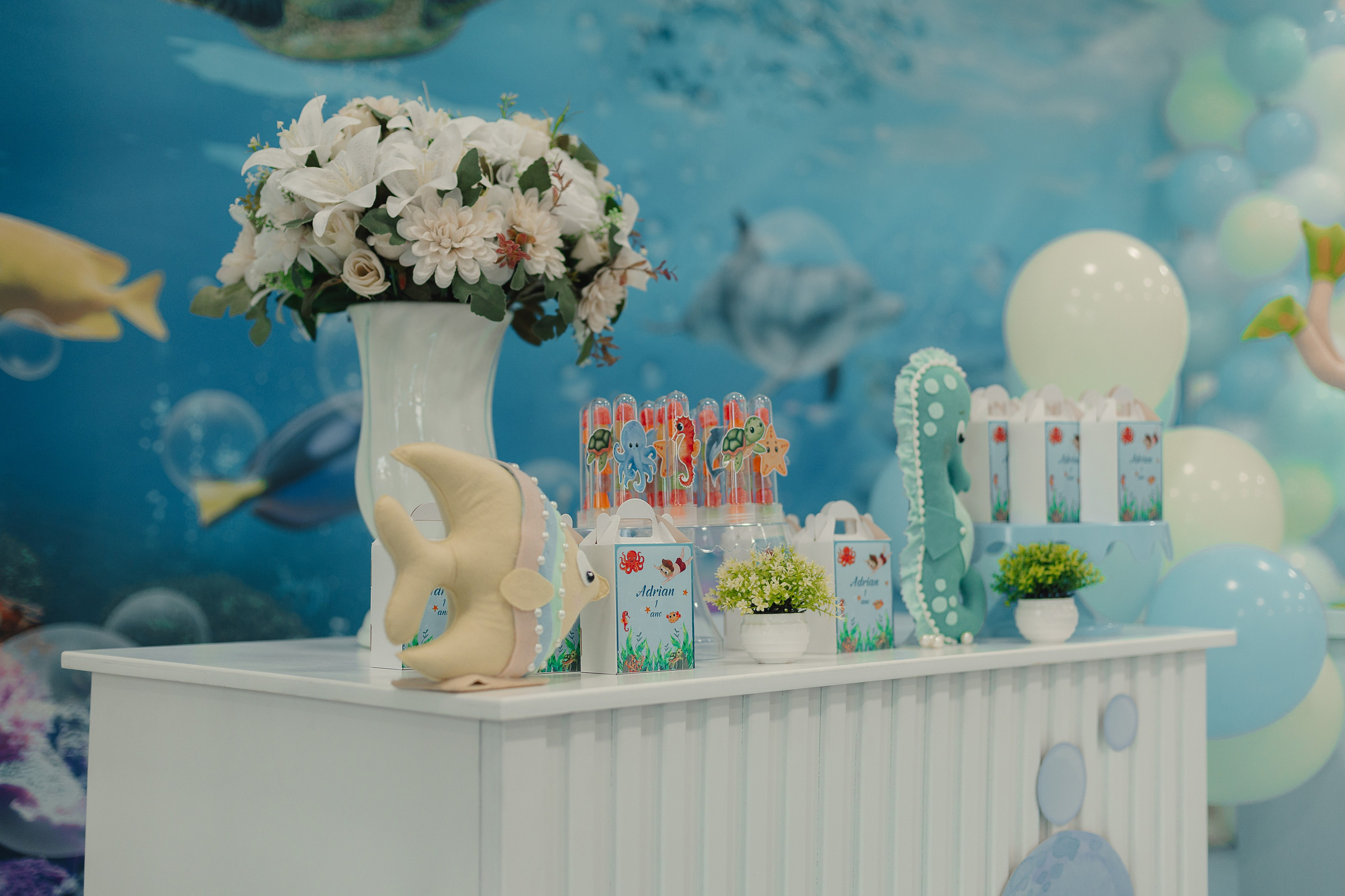 Aniversários. Bruno Manarin