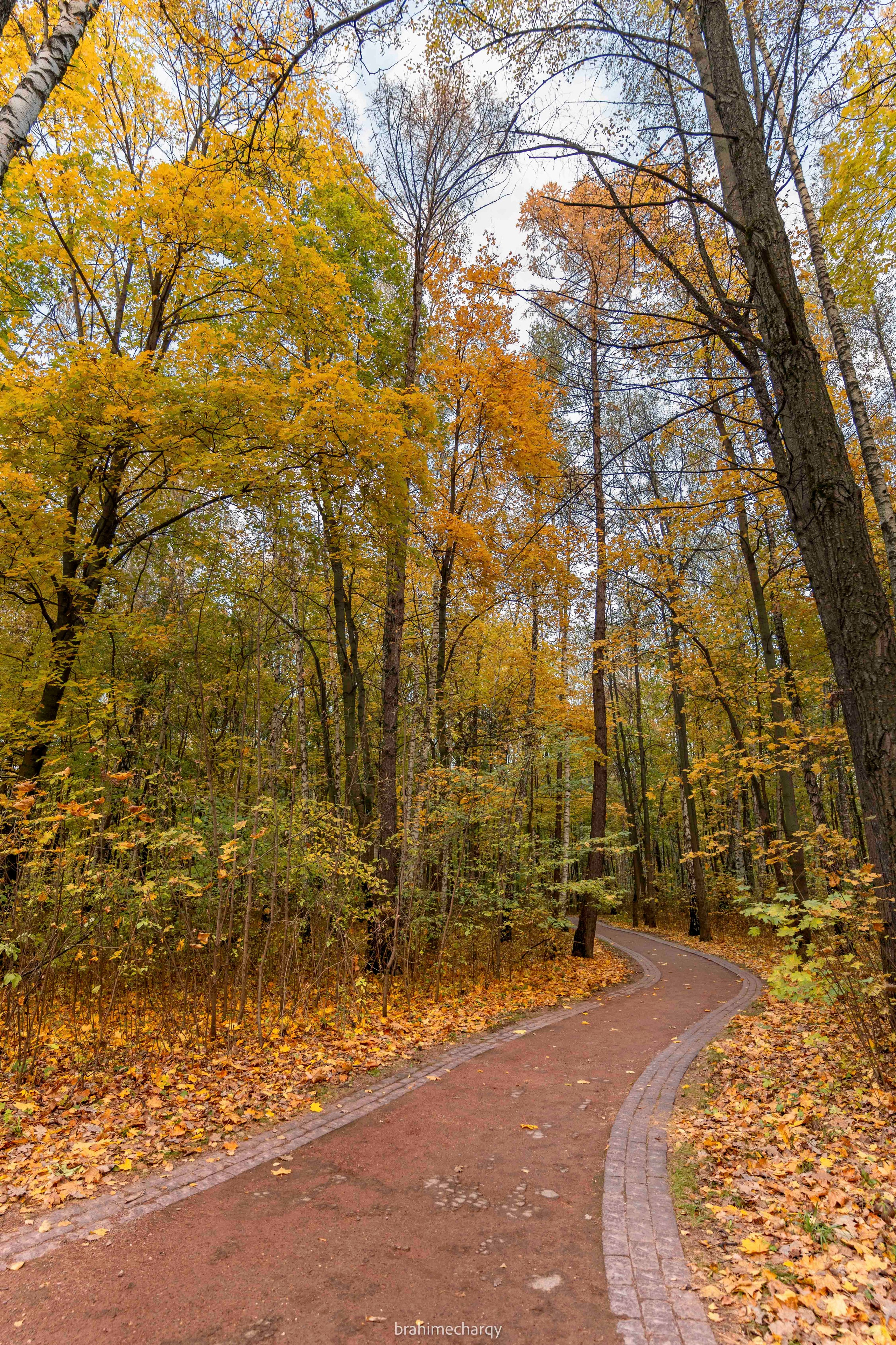 Фото. Брахим — фотограф