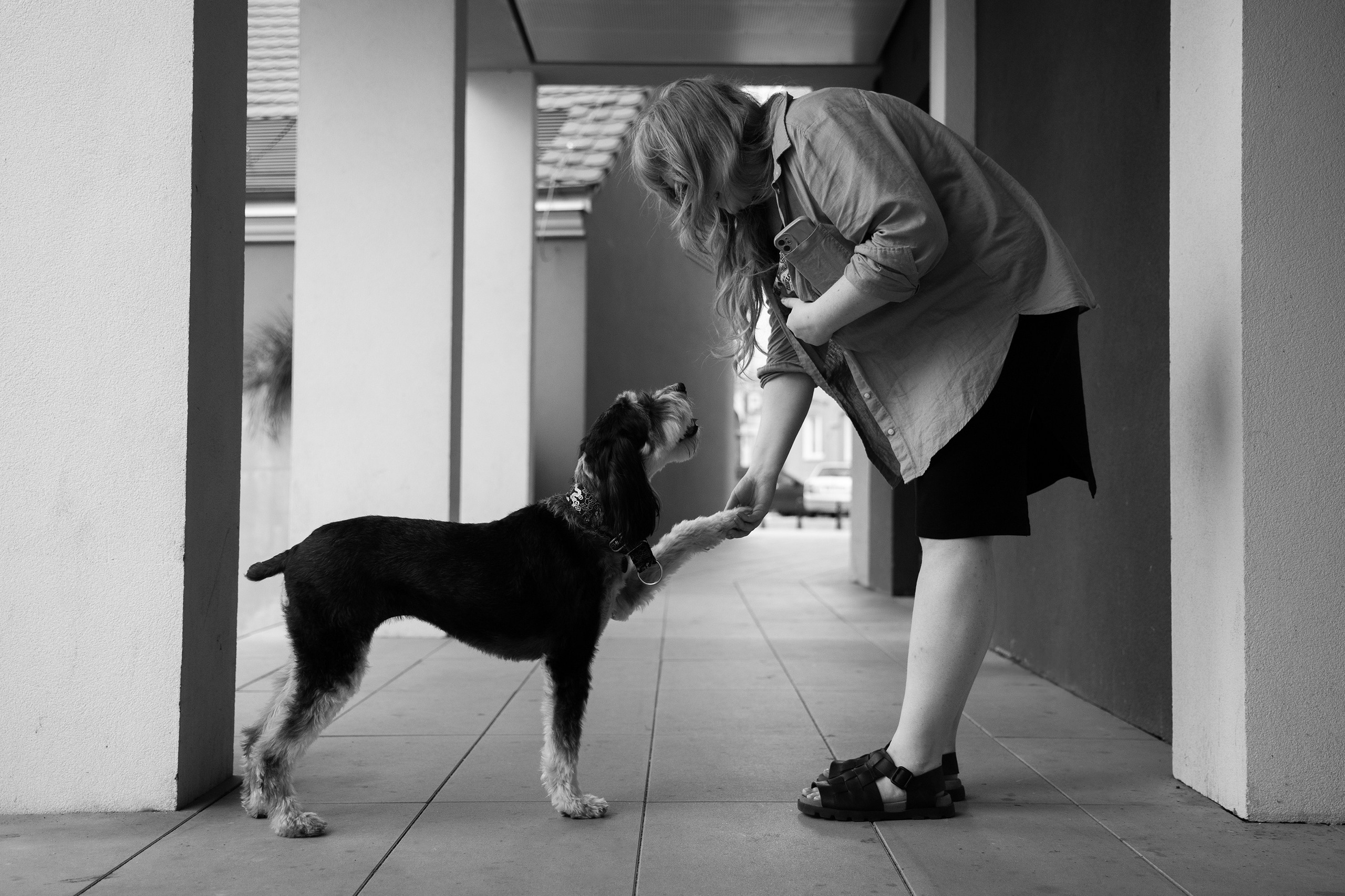 Lera & Flora. Kaja | fotograf we Wrocławiu | ludzie i psy