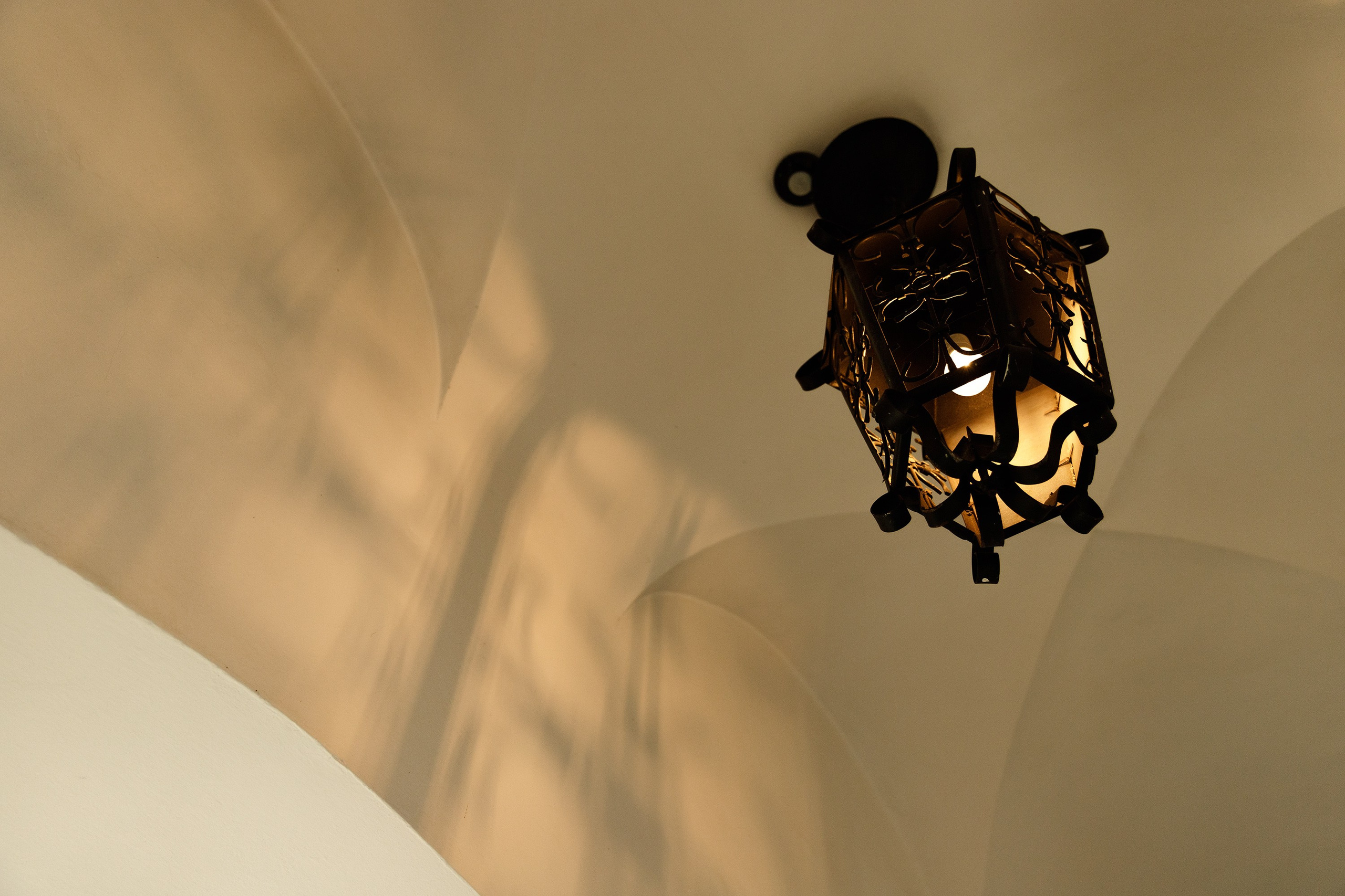 Oleśnica castle. Kaja | fotograf psów we Wrocławiu