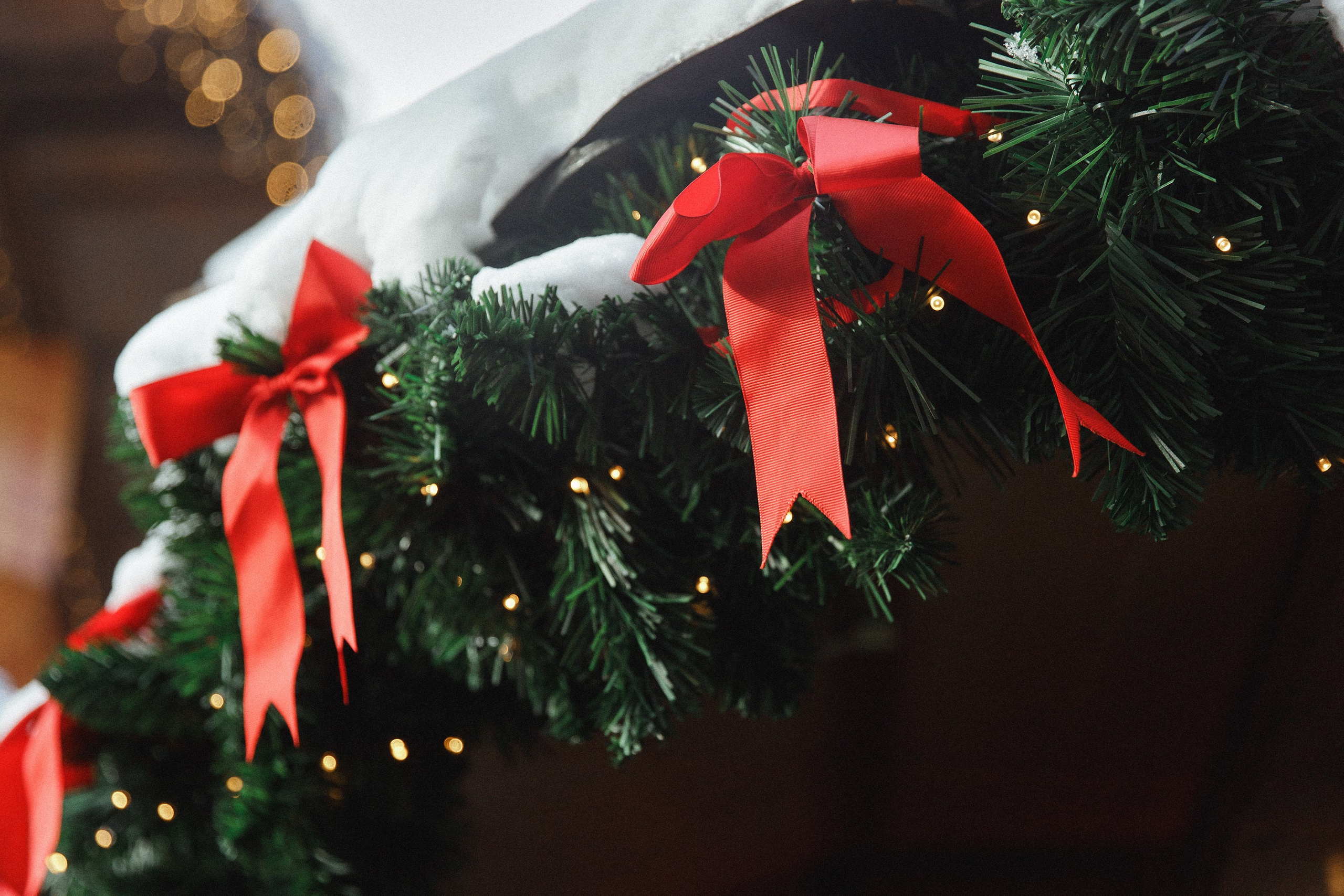 Masha & Andrei. Kaja | fotograf psów we Wrocławiu