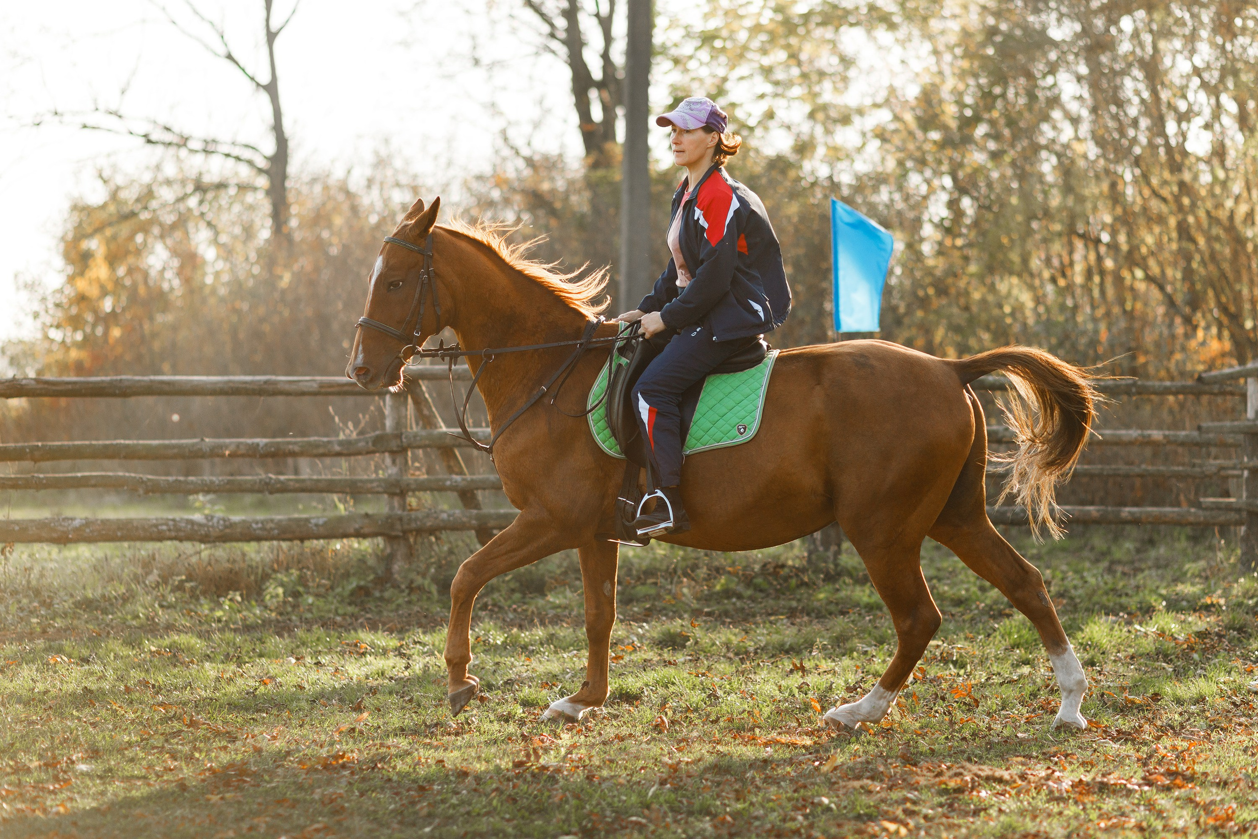 Autumn equestrian training. Kaja | fotograf psów we Wrocławiu