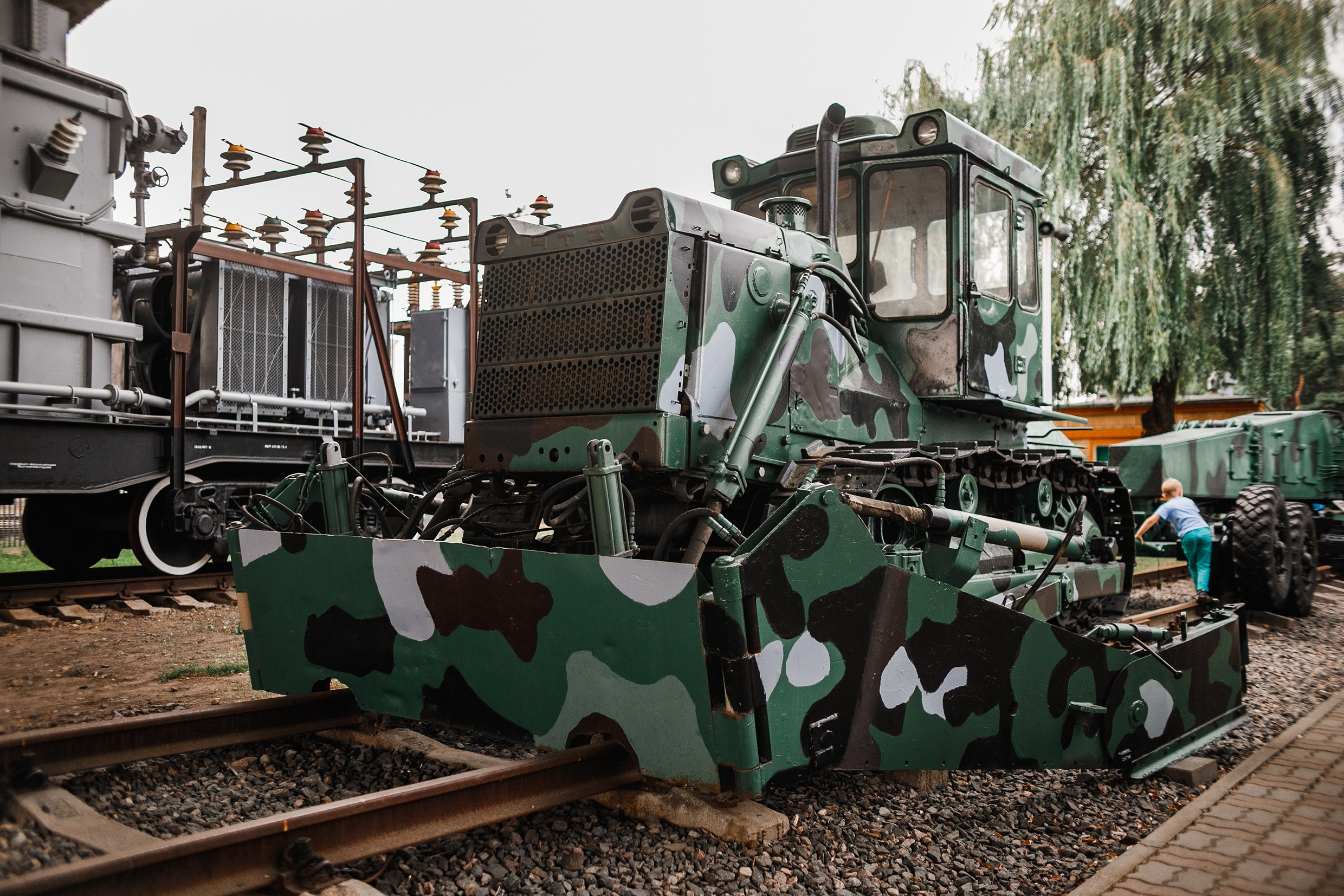 Narrow-gauge railway trip. Kaja | fotograf psów we Wrocławiu