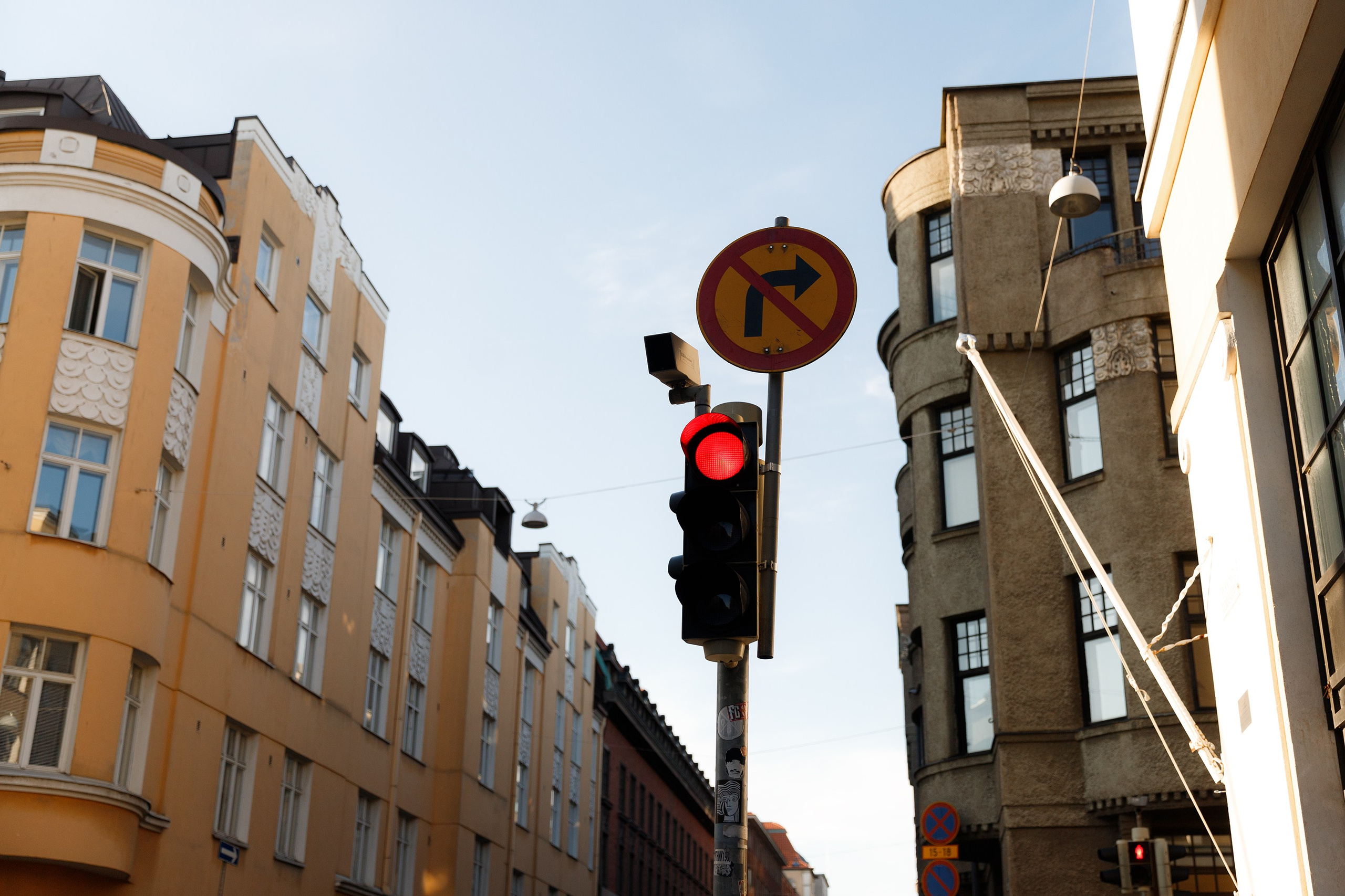 Helsinki. Kaja | fotograf psów we Wrocławiu