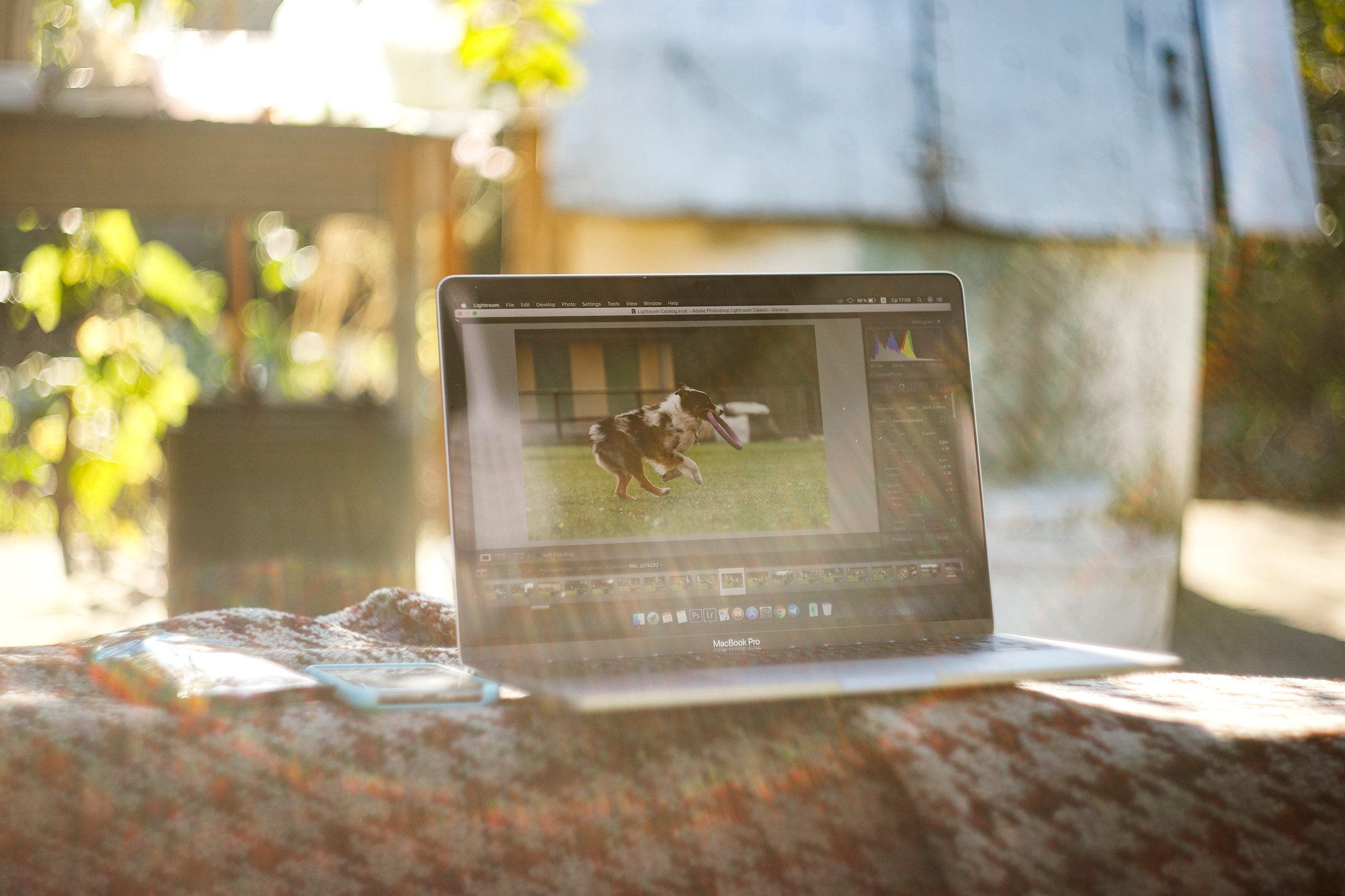 Grandmother's home in Brest. Kaja | fotograf we Wrocławiu | ludzie i psy