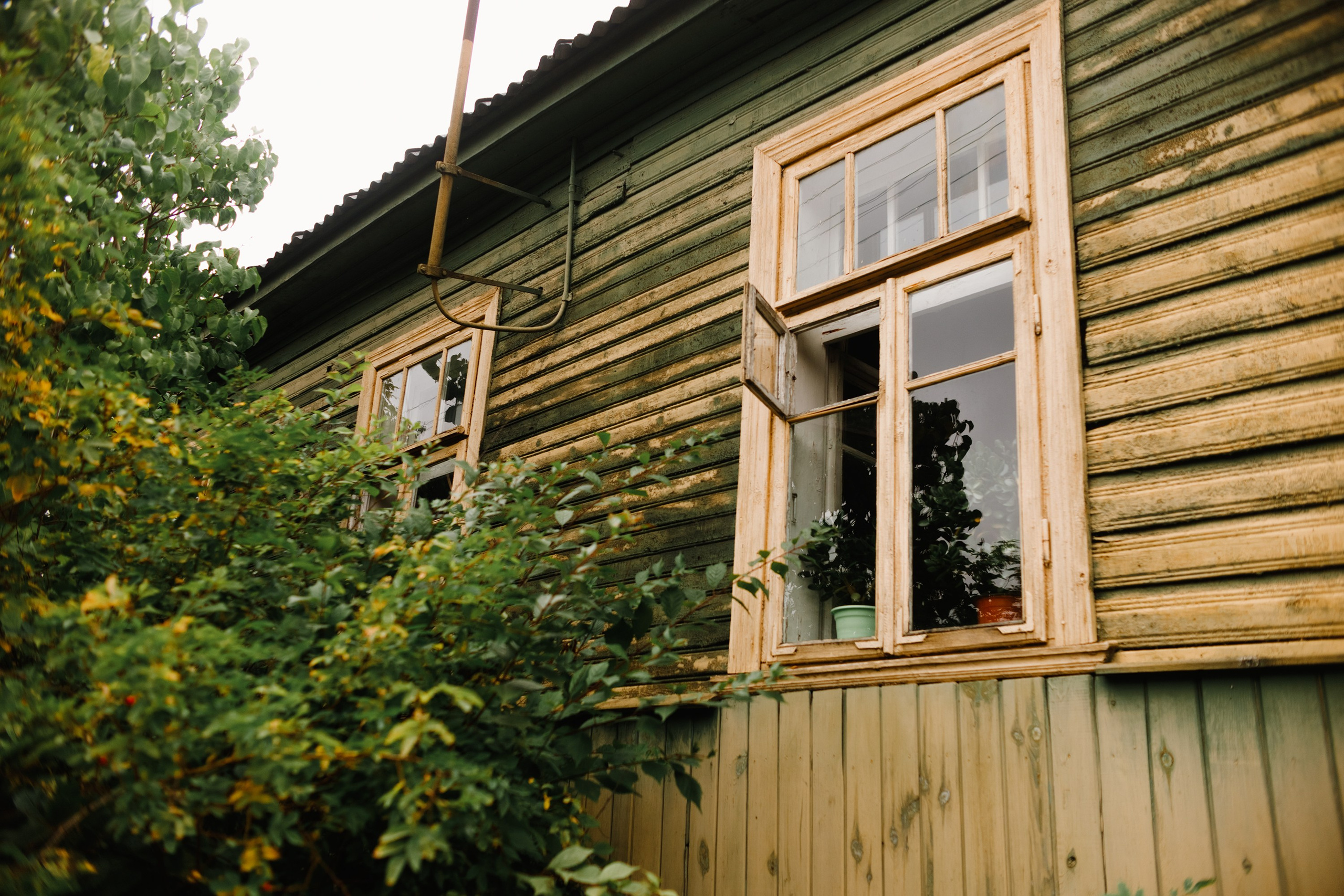 Grodno. Kaja | fotograf we Wrocławiu | ludzie i psy