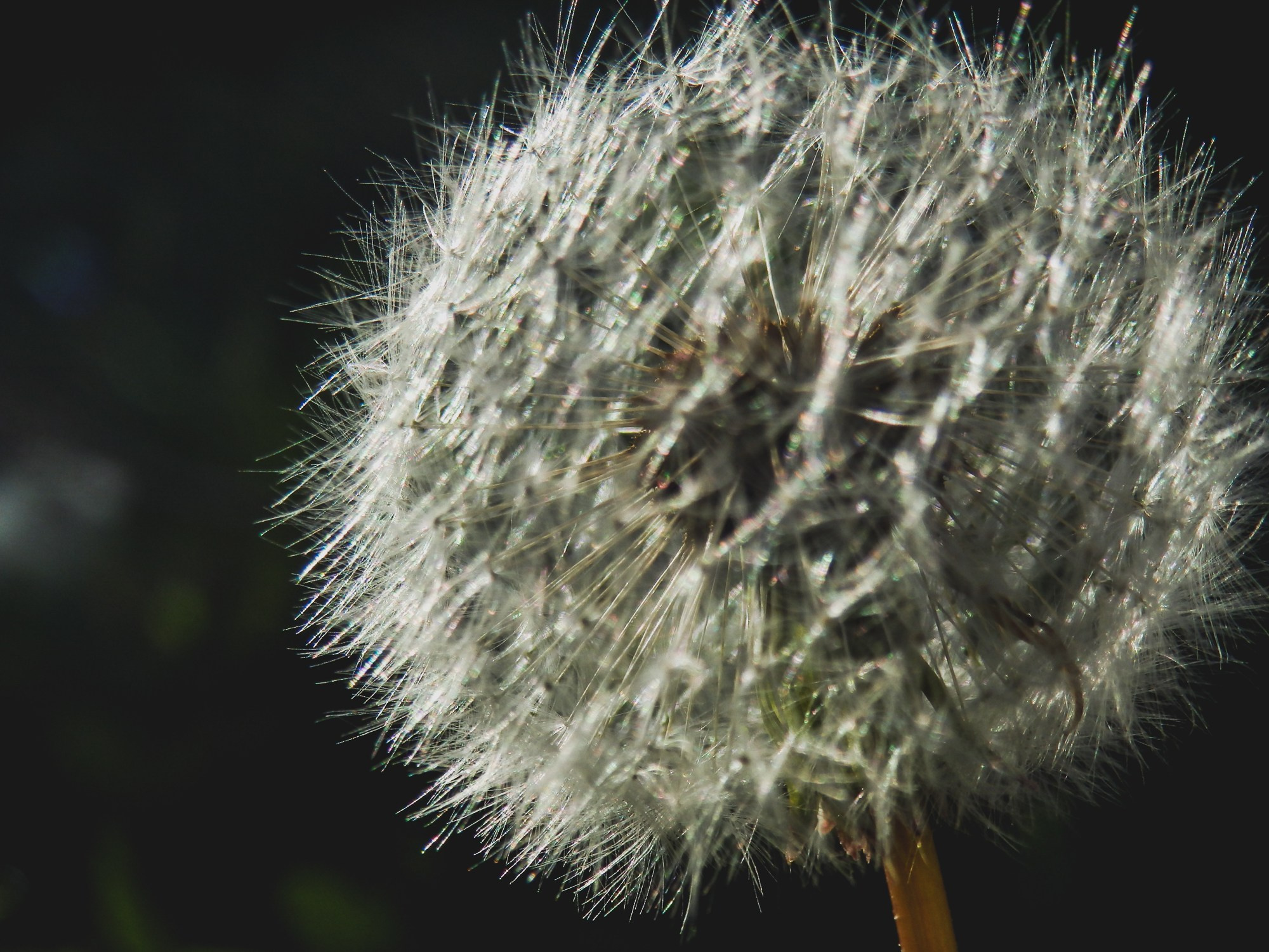Peisaj /natura. Daniel Criste Fotograf