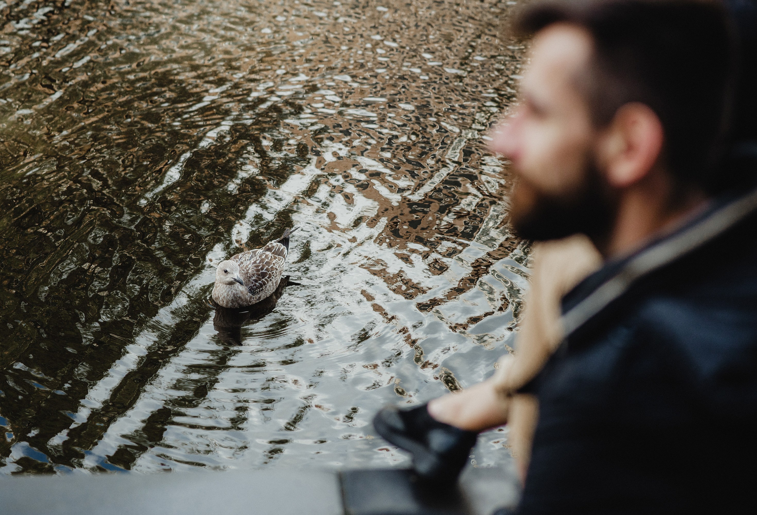 Амстердам. Прогулянка. Весільний та портретний фотограф Кизим Арсен