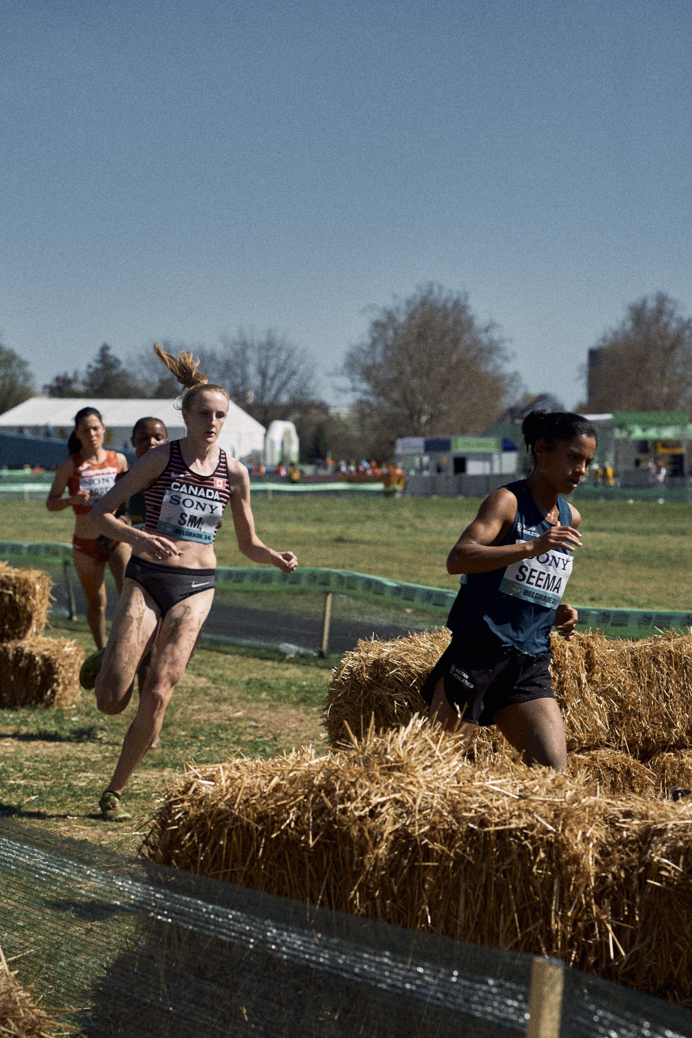 Cross Country Championship 2024 #running. Photographer Evgeniya Dovgalyuk